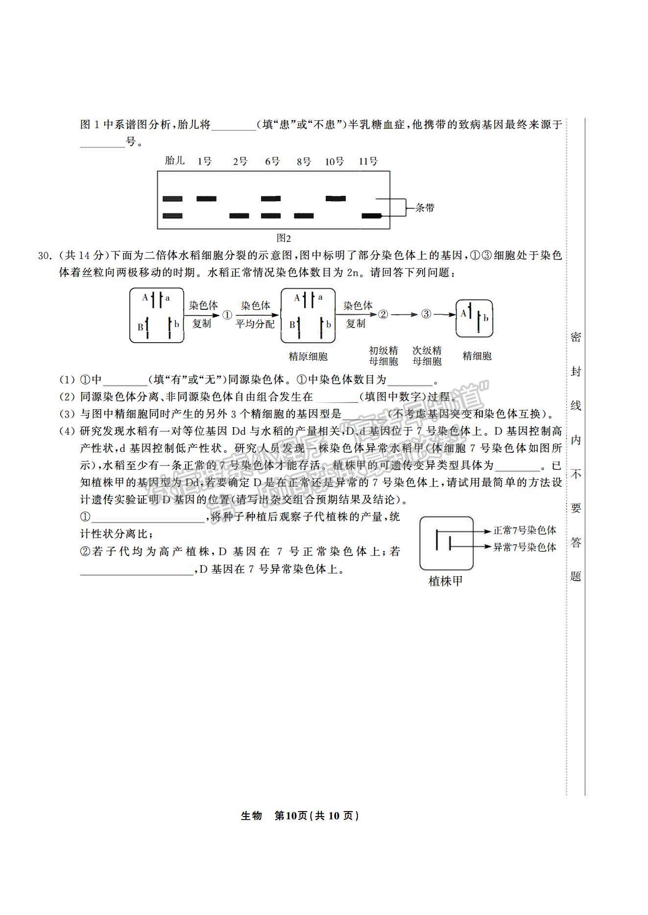 2021合肥六中高一下學期期末考試生物試題及答案