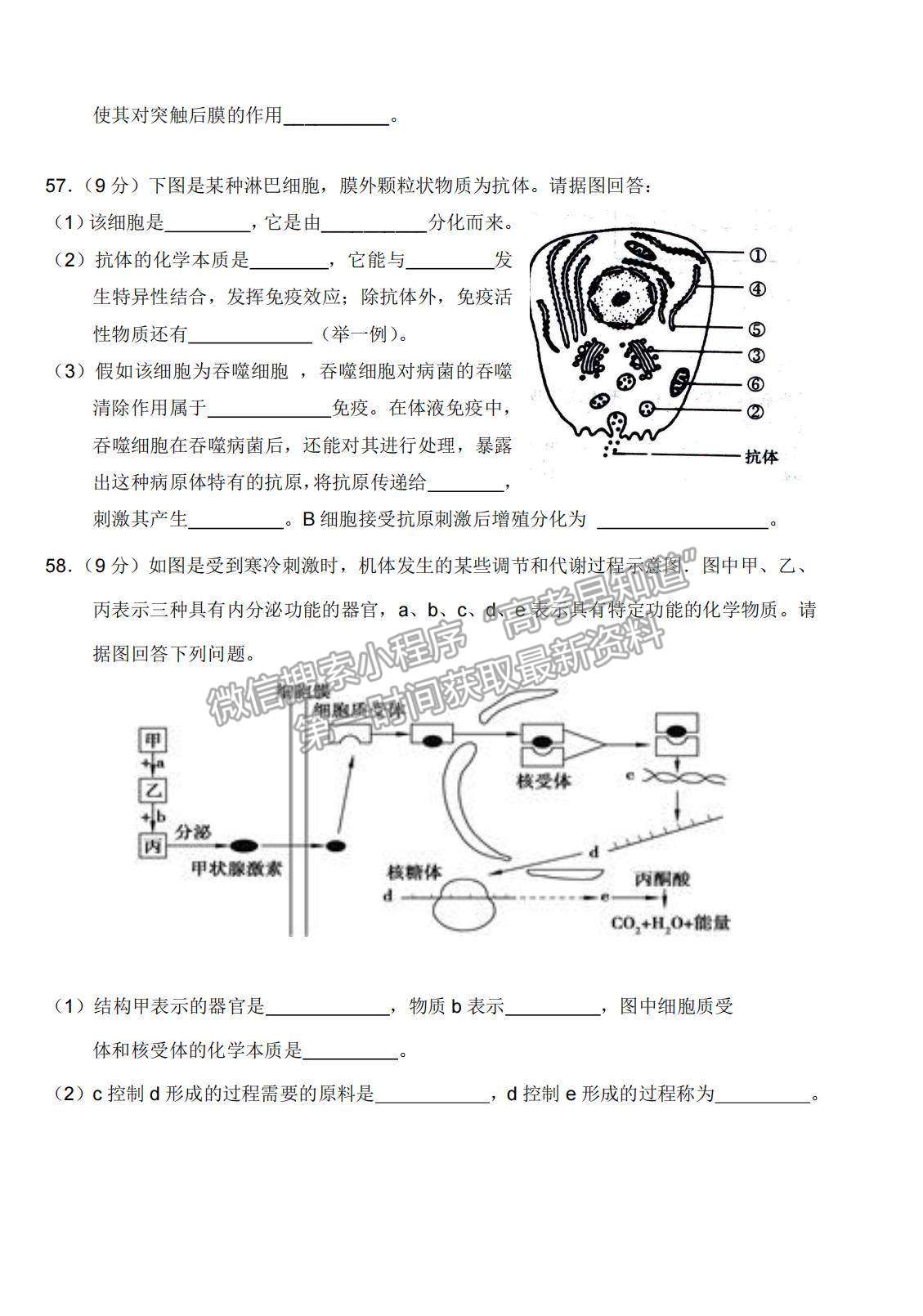 2022天津市濱海新區(qū)大港一中高三上學期入學測試生物試卷及答案