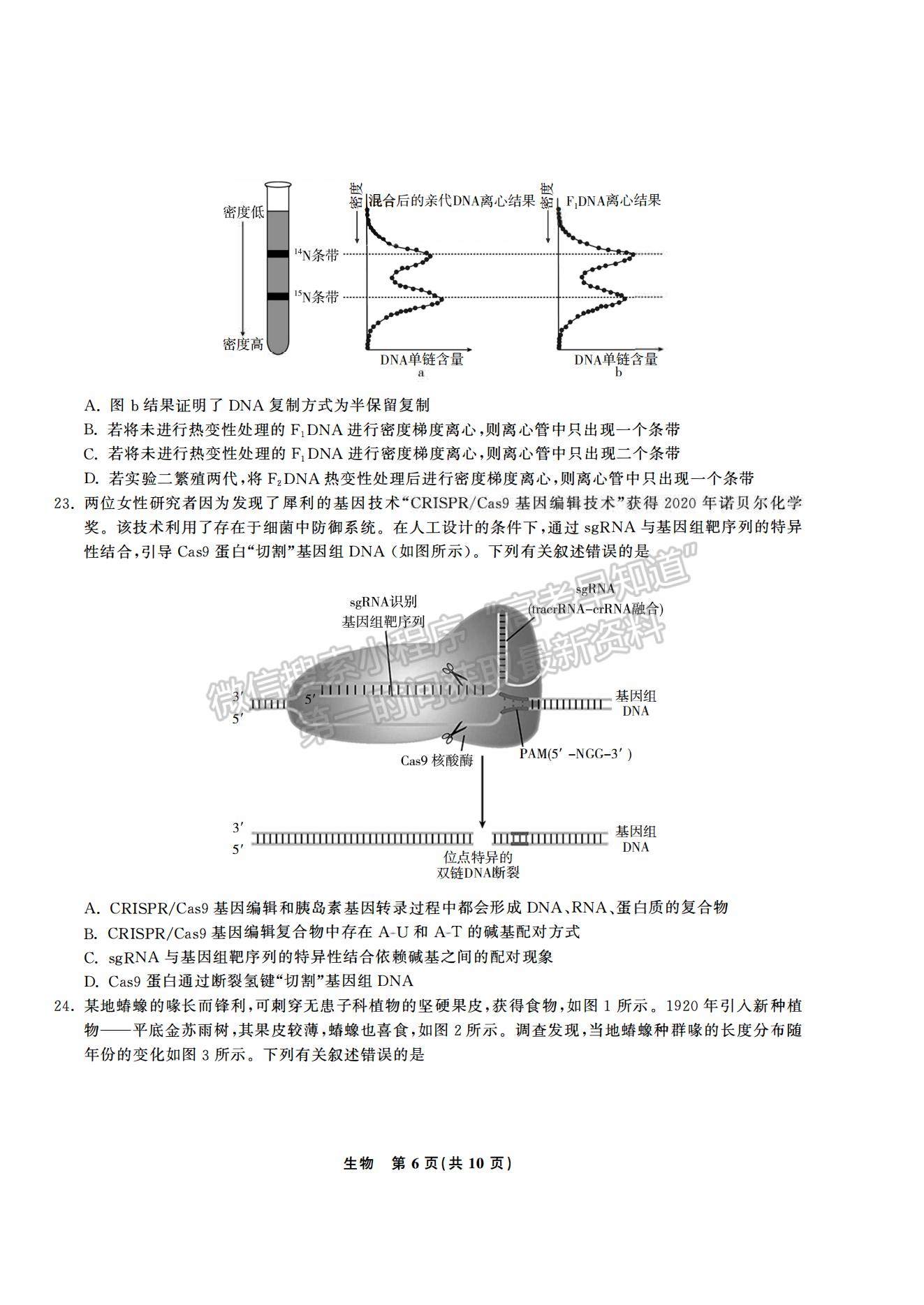 2021合肥六中高一下學(xué)期期末考試生物試題及答案