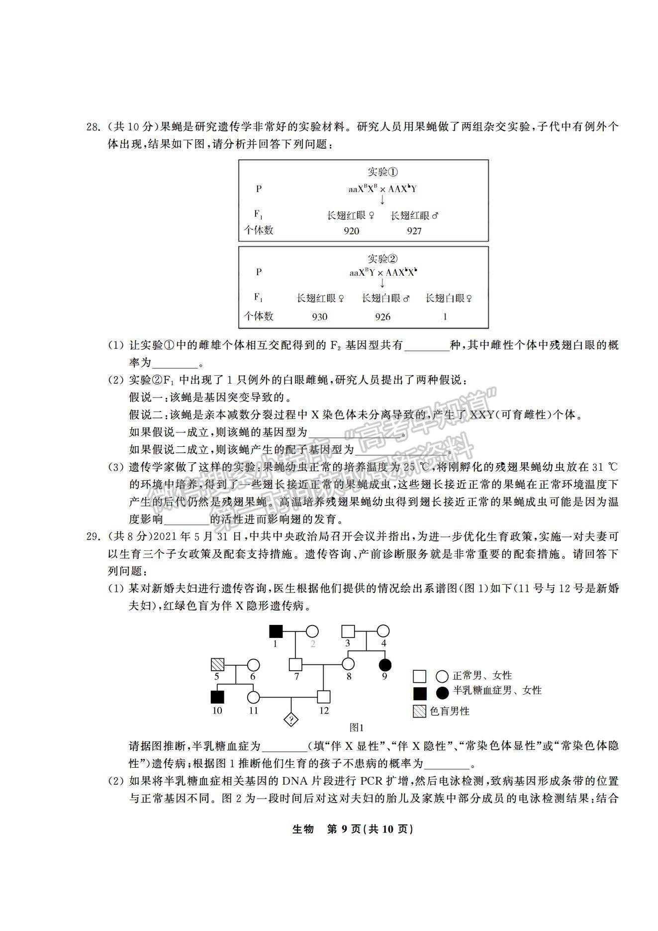 2021合肥六中高一下學(xué)期期末考試生物試題及答案