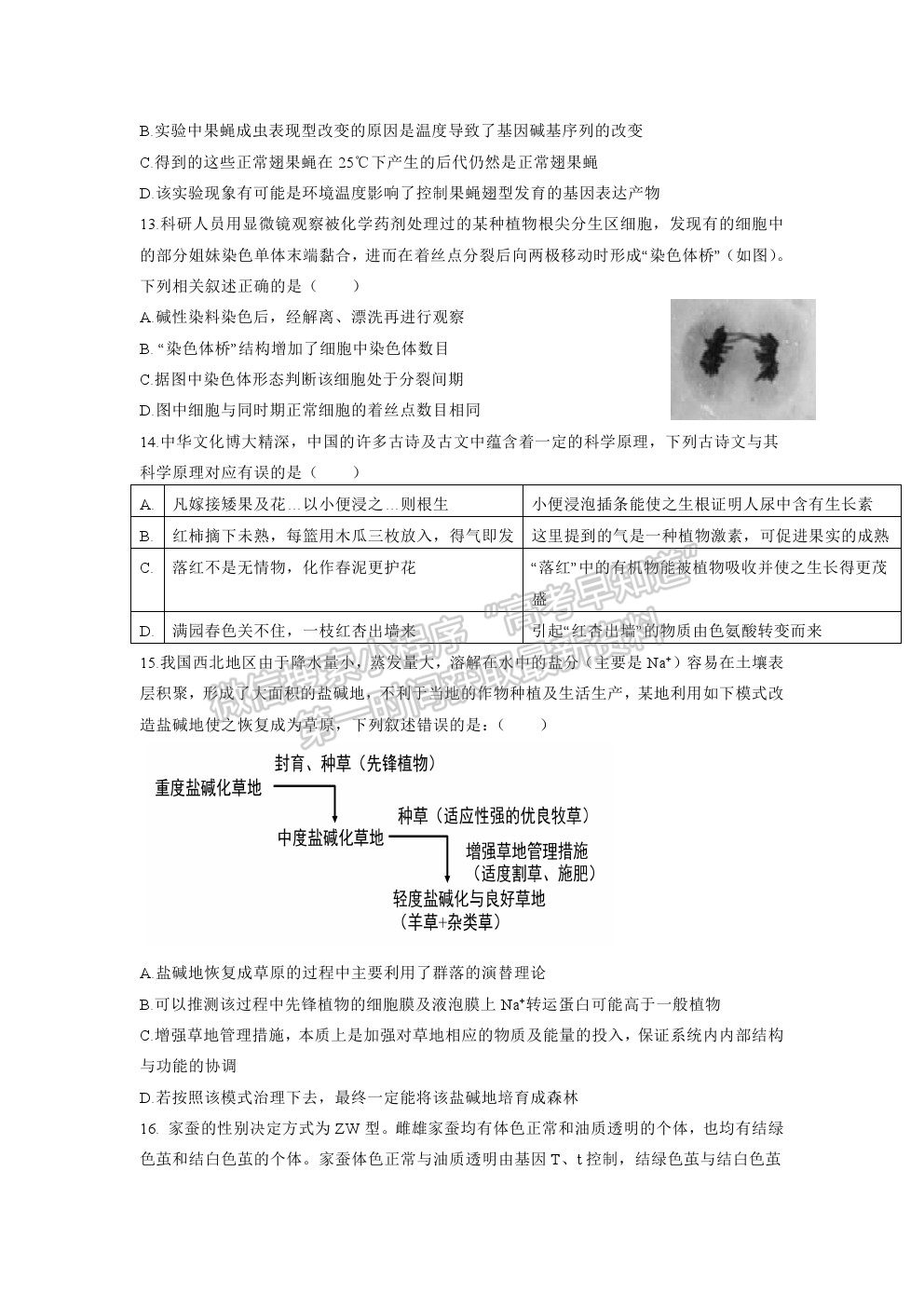 2022深圳市六校高三上學期第一次聯(lián)考生物試題及答案