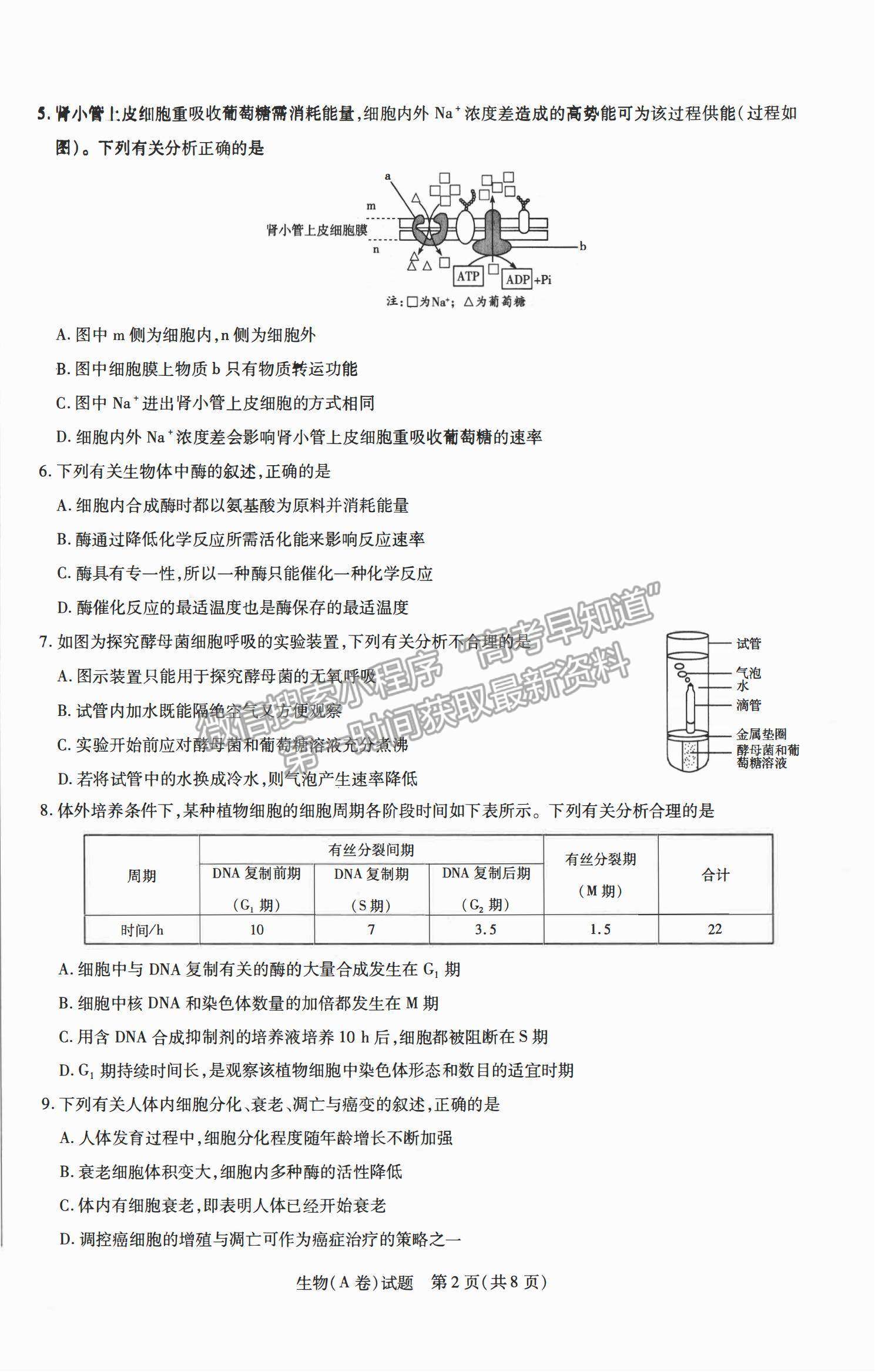 2021合肥六中高二下學(xué)期期中考試生物試題及答案