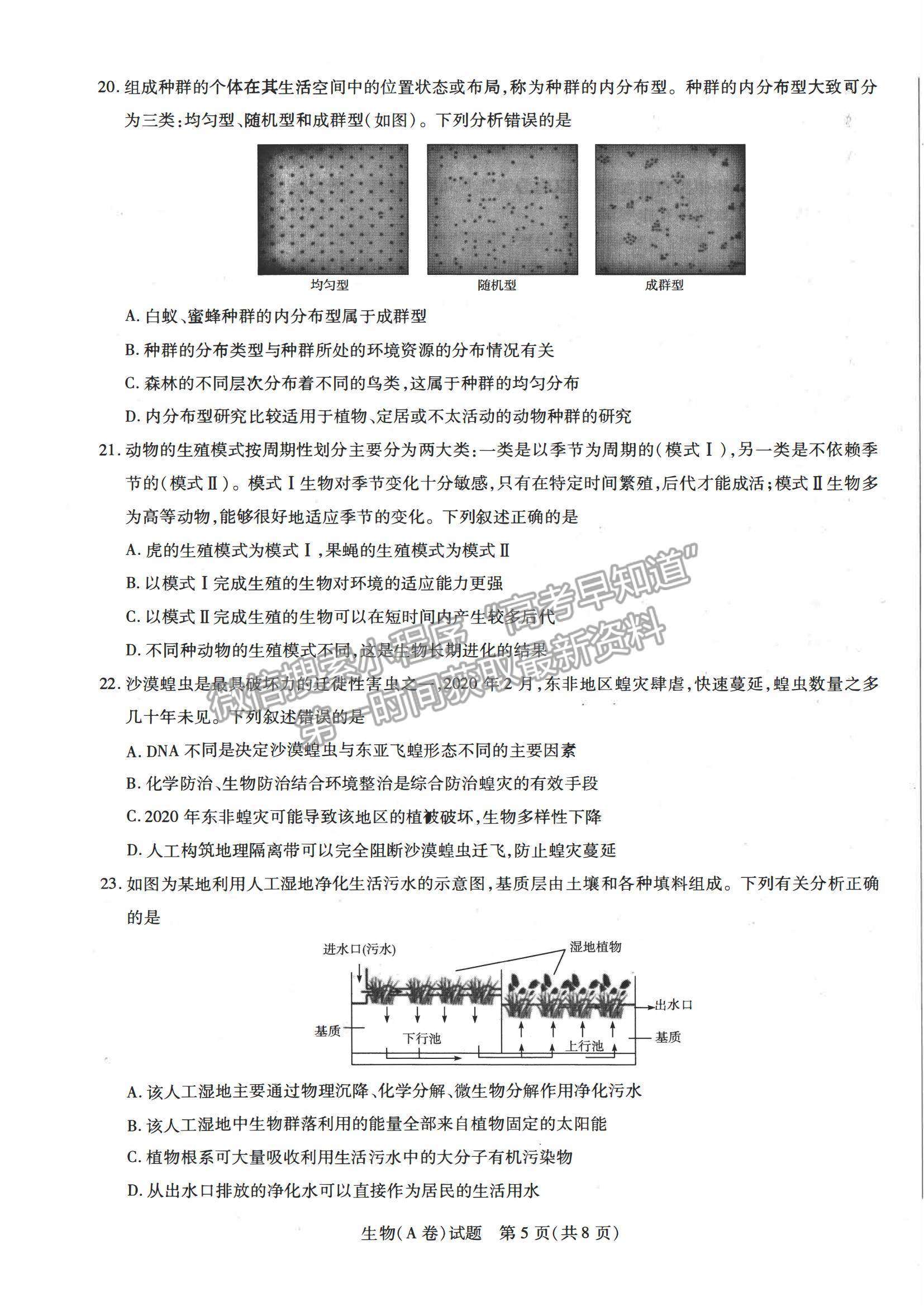 2021合肥六中高二下學(xué)期期中考試生物試題及答案