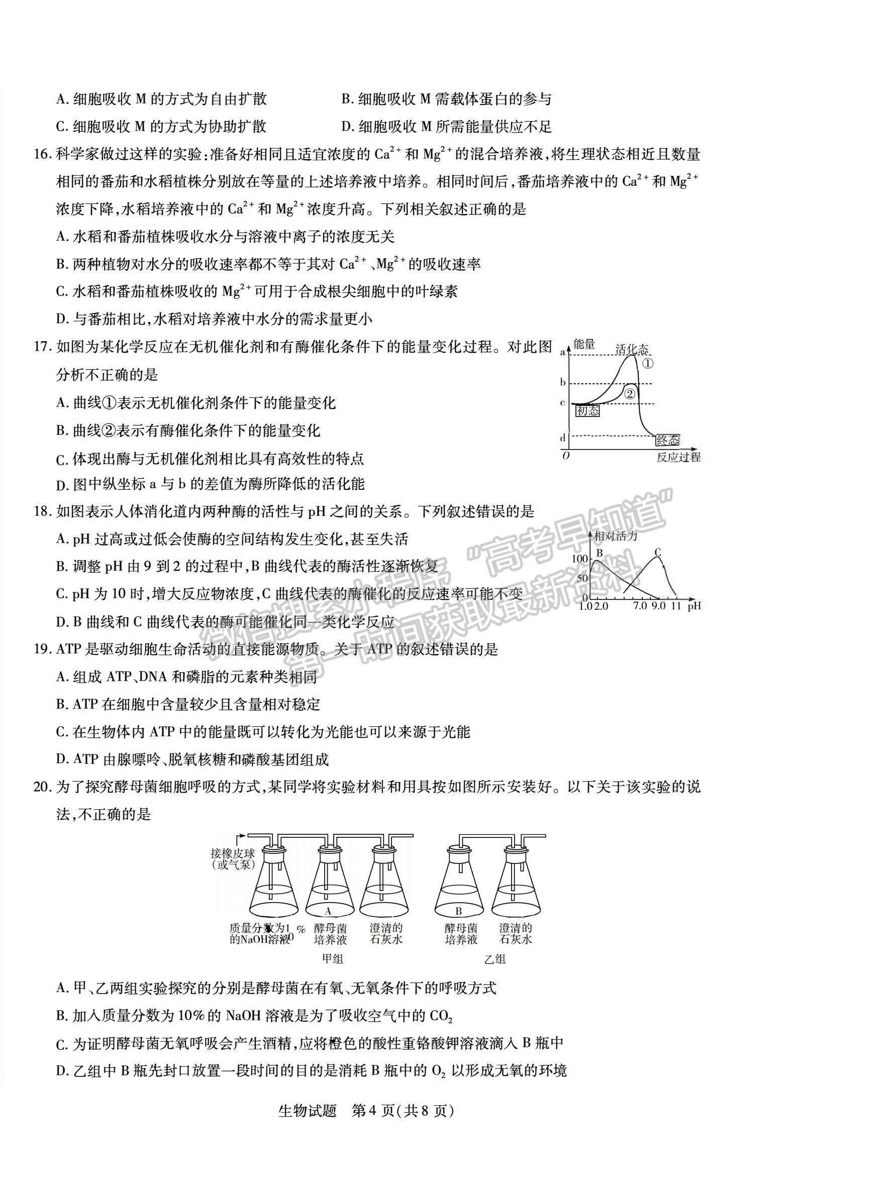 2021合肥六中高一上學期期末考試生物試題及答案