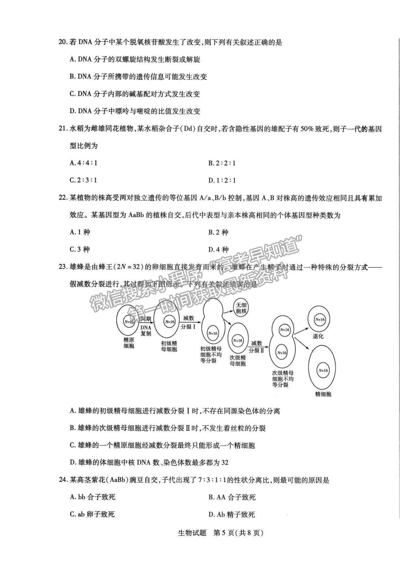 2021合肥六中高一下學(xué)期期中考試生物試題及答案