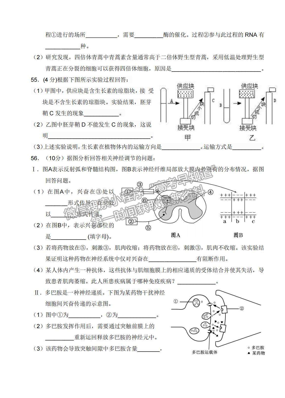 2022天津市濱海新區(qū)大港一中高三上學(xué)期入學(xué)測試生物試卷及答案