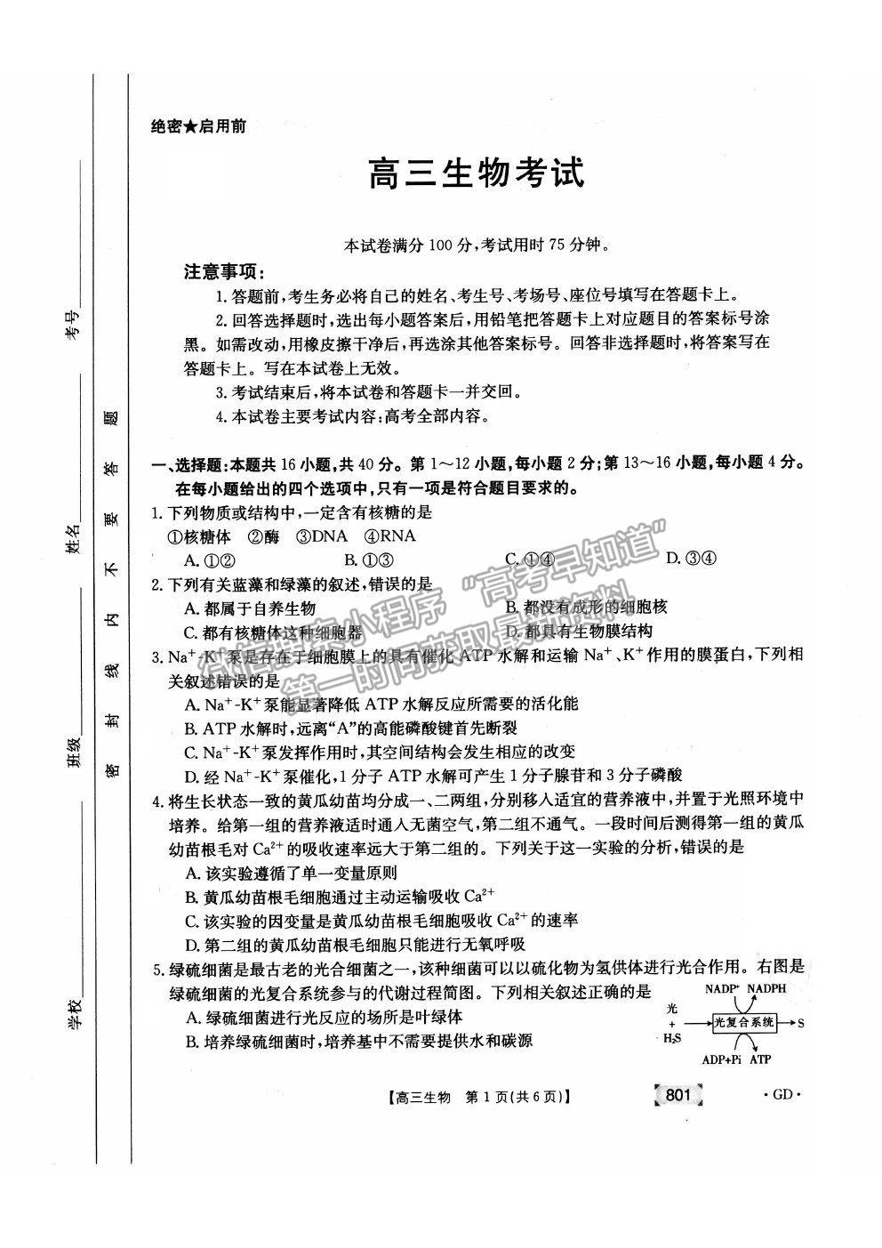 2022廣東省高三上學(xué)期8月第二次聯(lián)考生物試題及答案