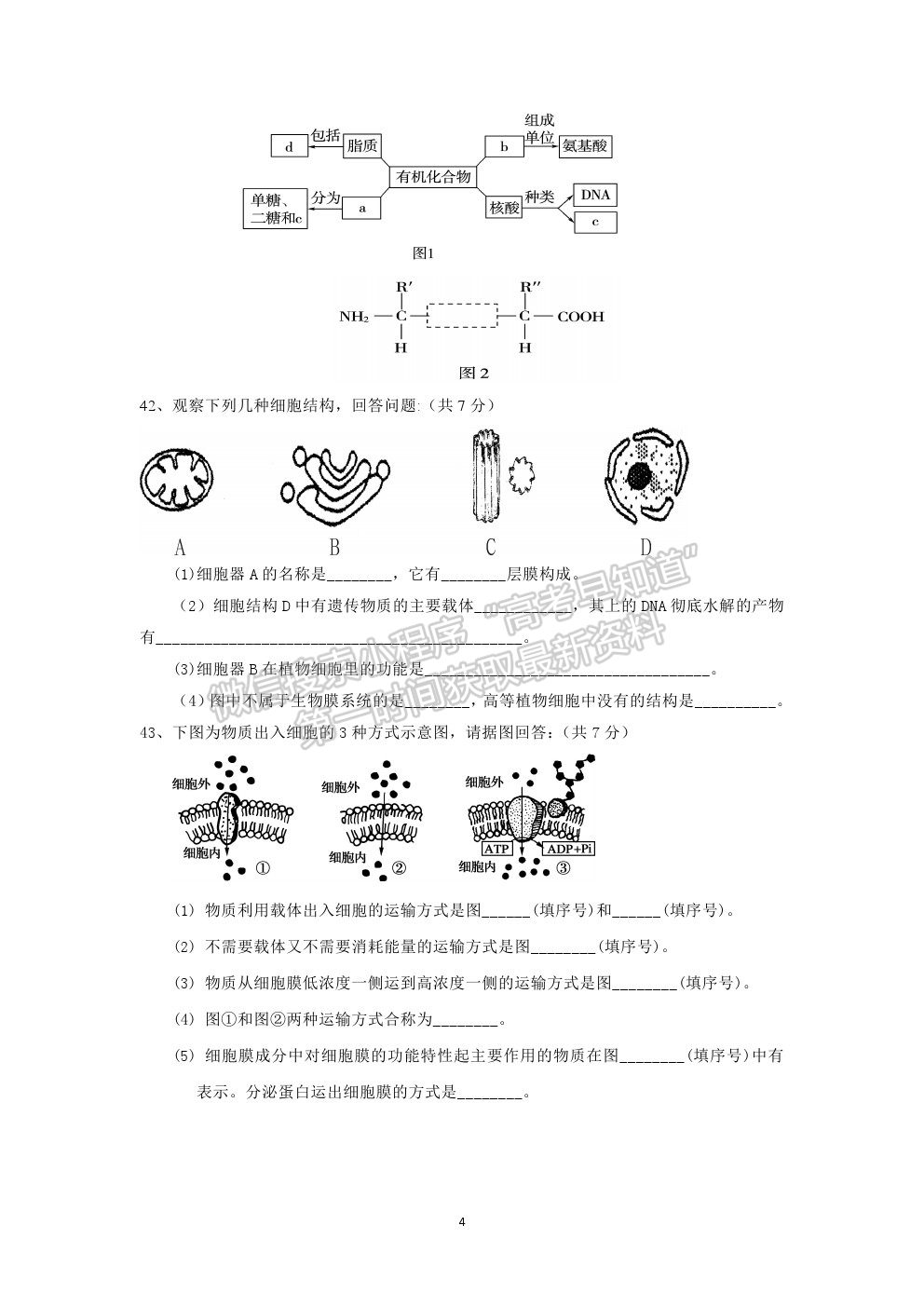 2021鹽城市實驗高級中學（新洋高級中學）高一上學期期中考試生物試題及答案