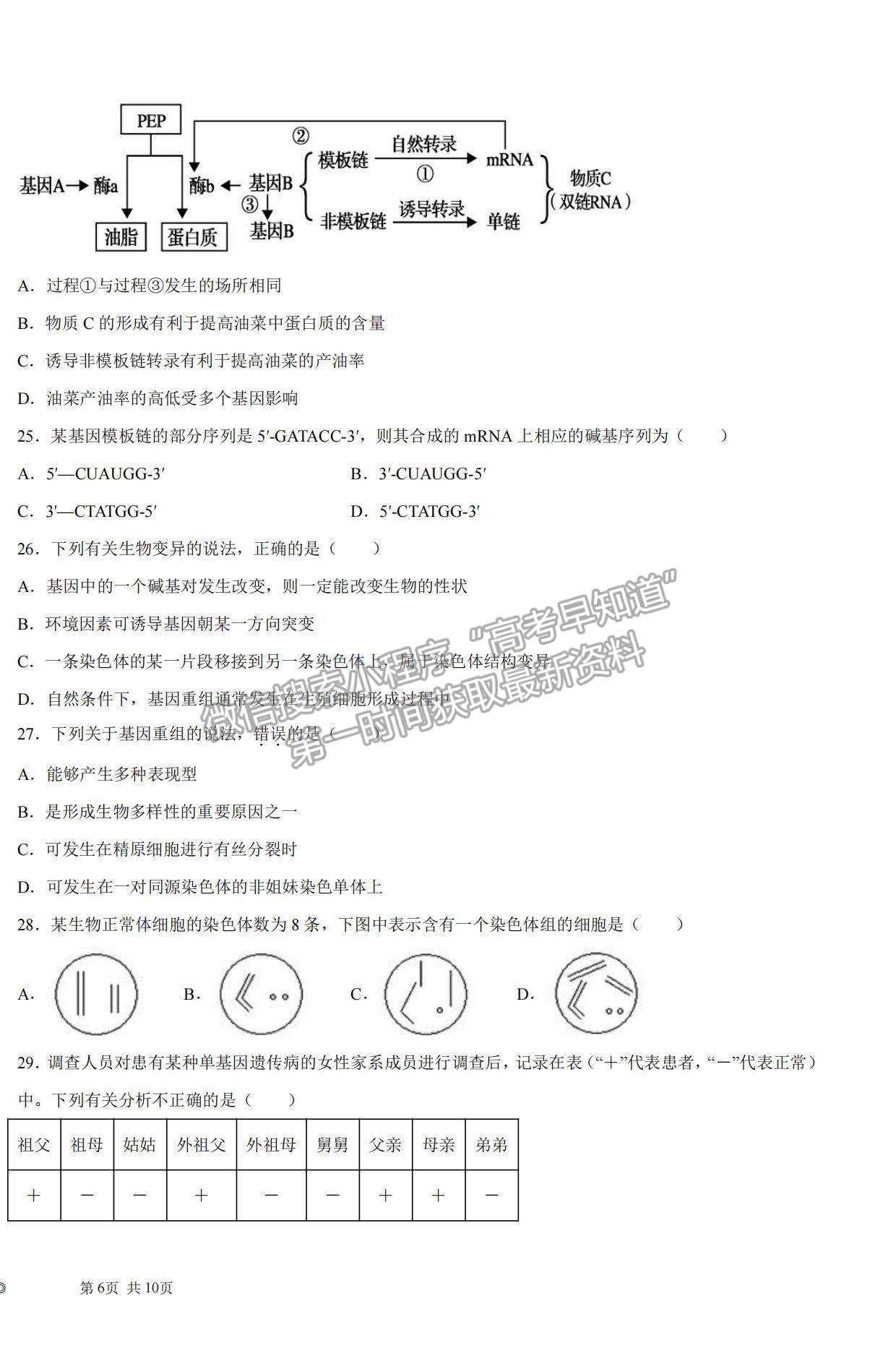 2022黑龍江省大慶中學高二上學期開學考試生物試題及答案