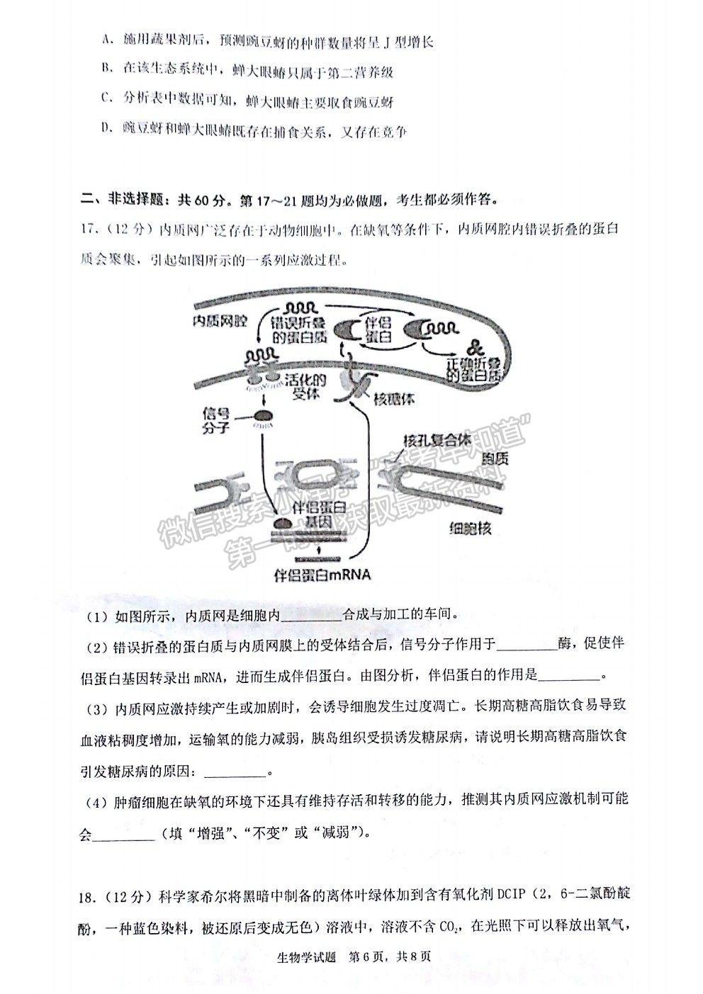 2022廣東省（汕尾市）高三上學期綜合能力測試（一）生物試題及答案