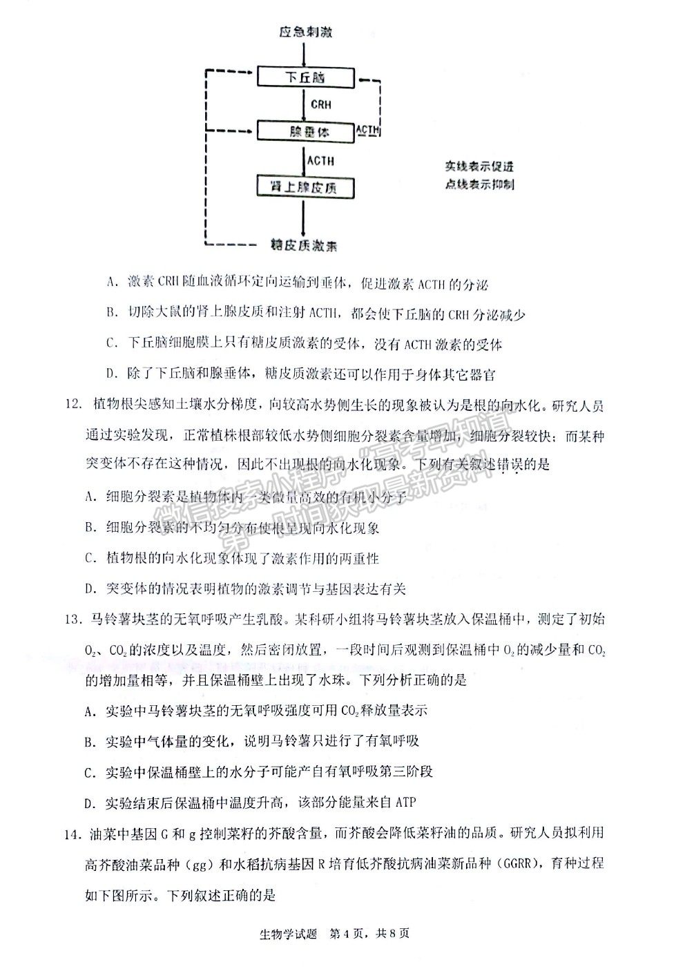 2022廣東省（汕尾市）高三上學(xué)期綜合能力測(cè)試（一）生物試題及答案