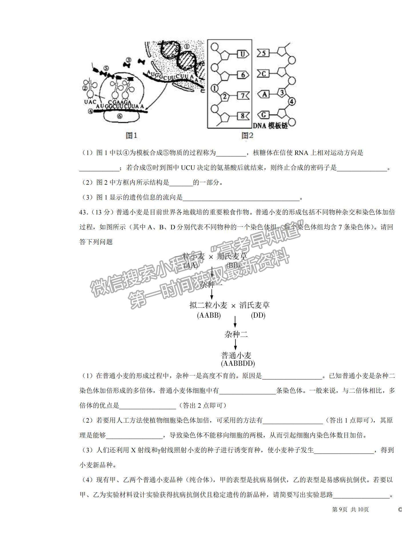 2022黑龍江省大慶中學(xué)高二上學(xué)期開學(xué)考試生物試題及答案