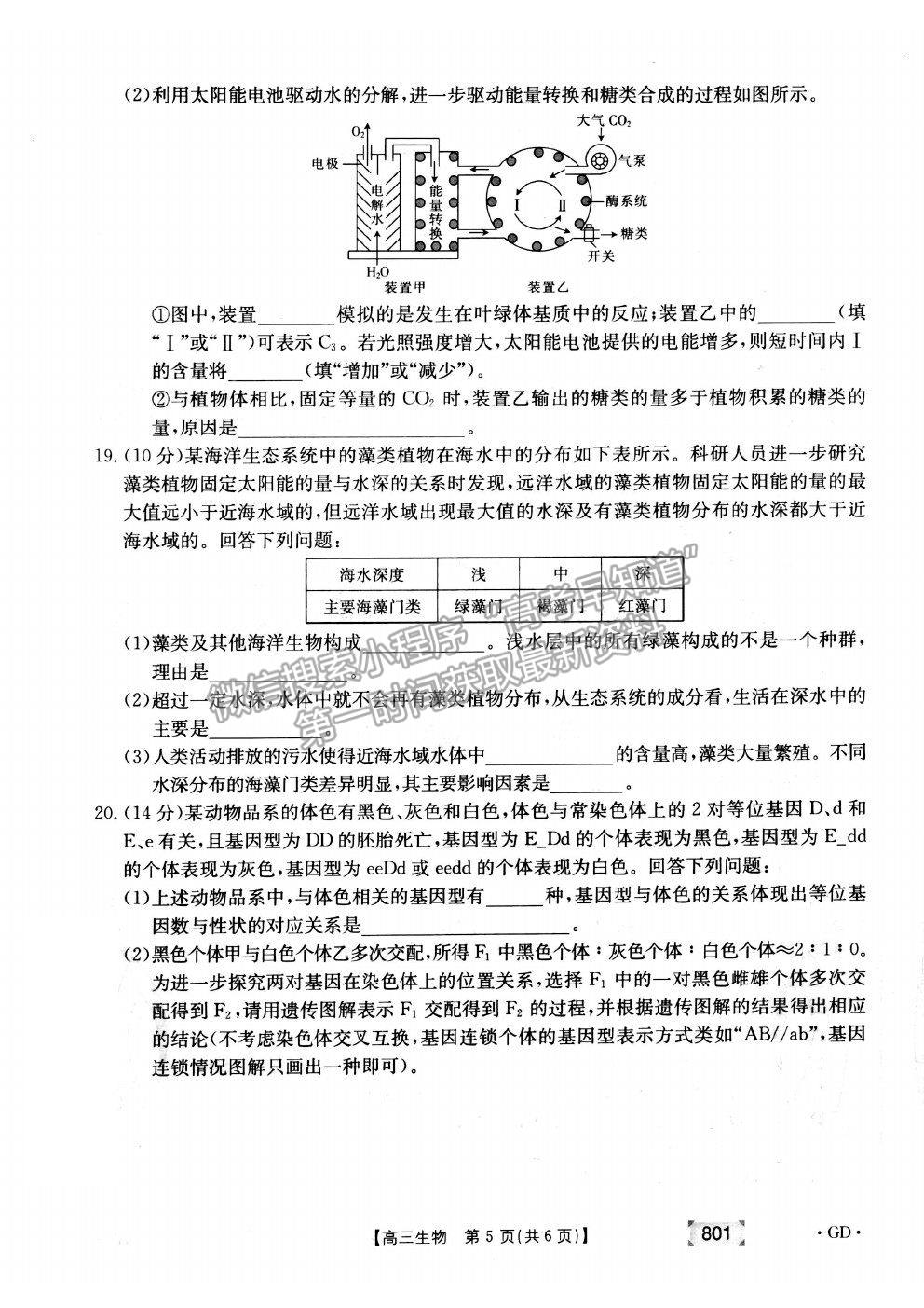 2022廣東省高三上學(xué)期8月第二次聯(lián)考生物試題及答案