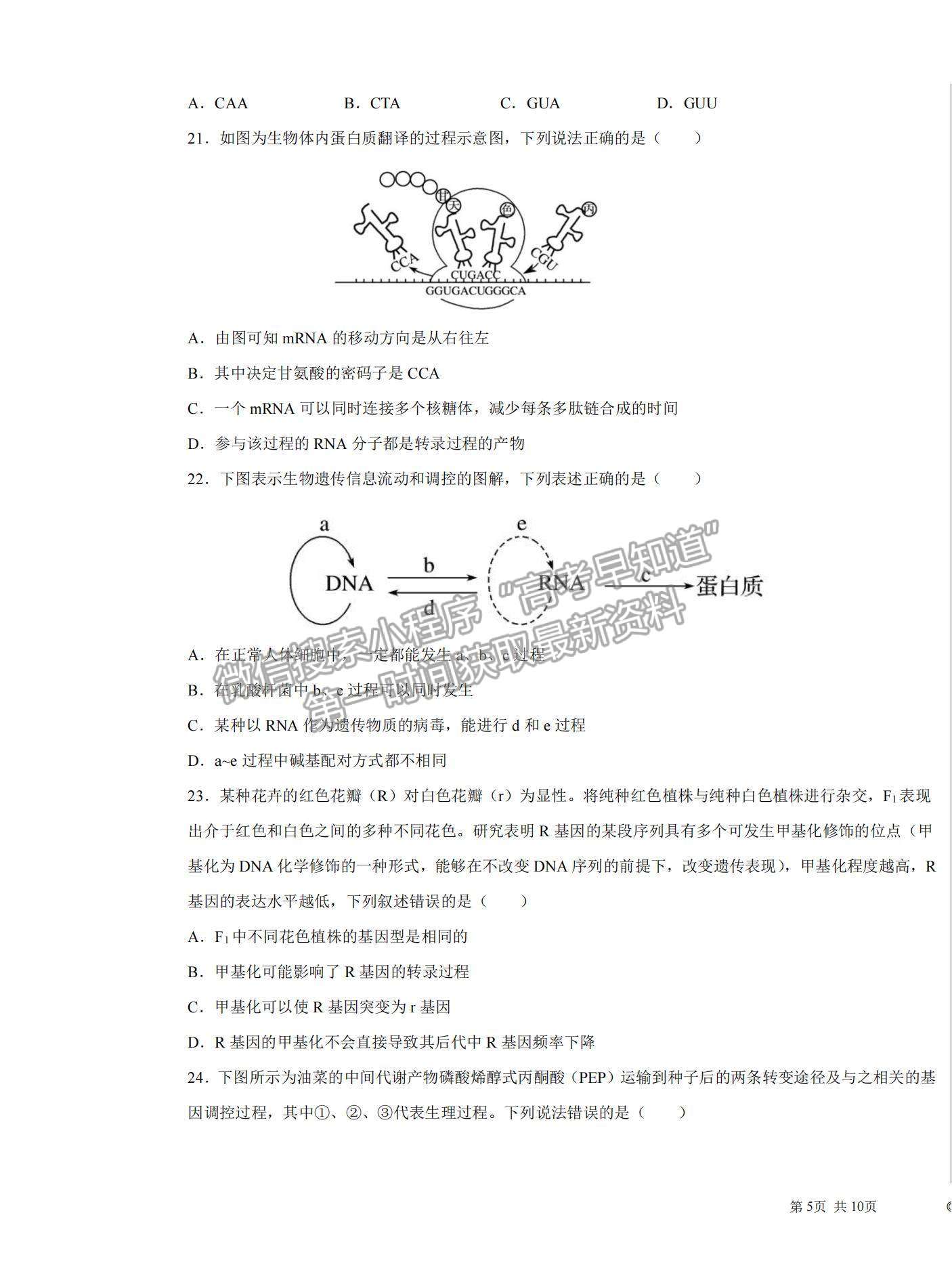 2022黑龍江省大慶中學高二上學期開學考試生物試題及答案