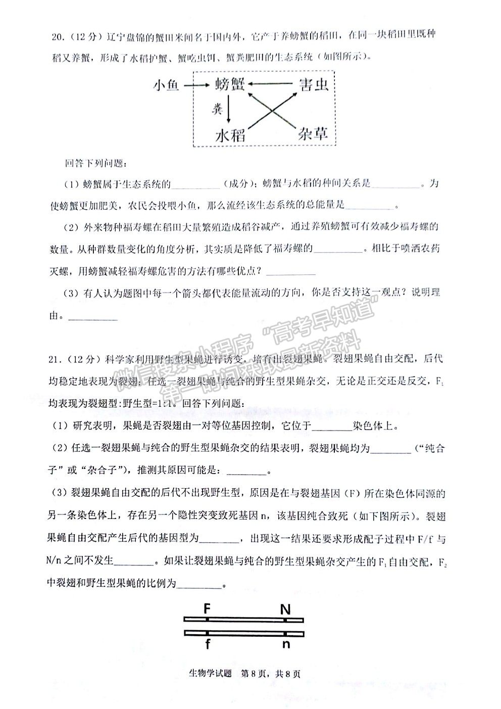 2022廣東省（汕尾市）高三上學(xué)期綜合能力測試（一）生物試題及答案