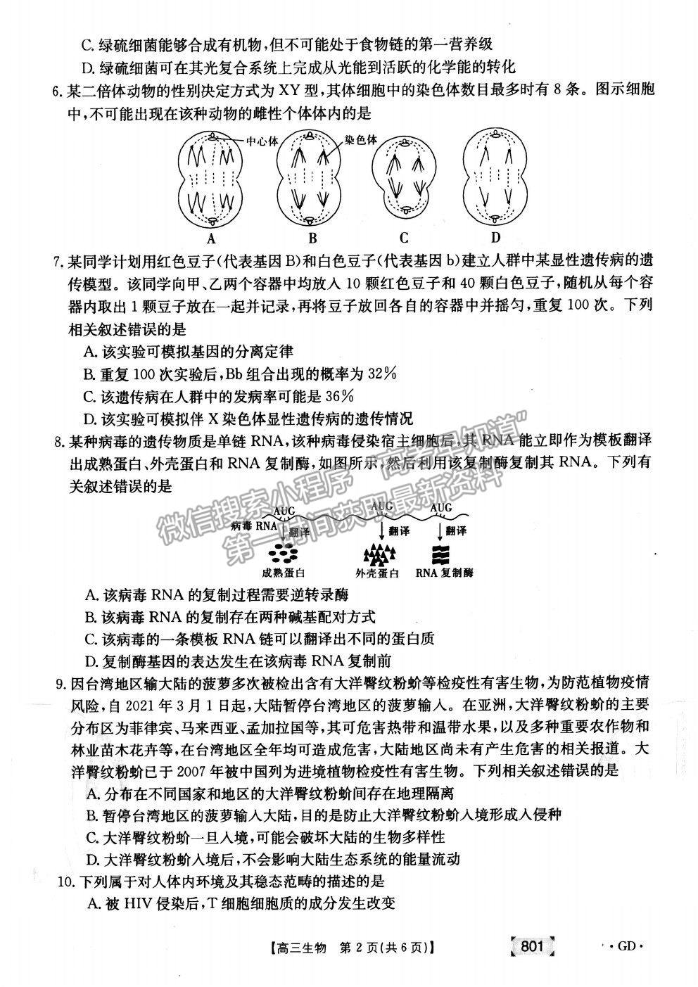 2022廣東省高三上學(xué)期8月第二次聯(lián)考生物試題及答案