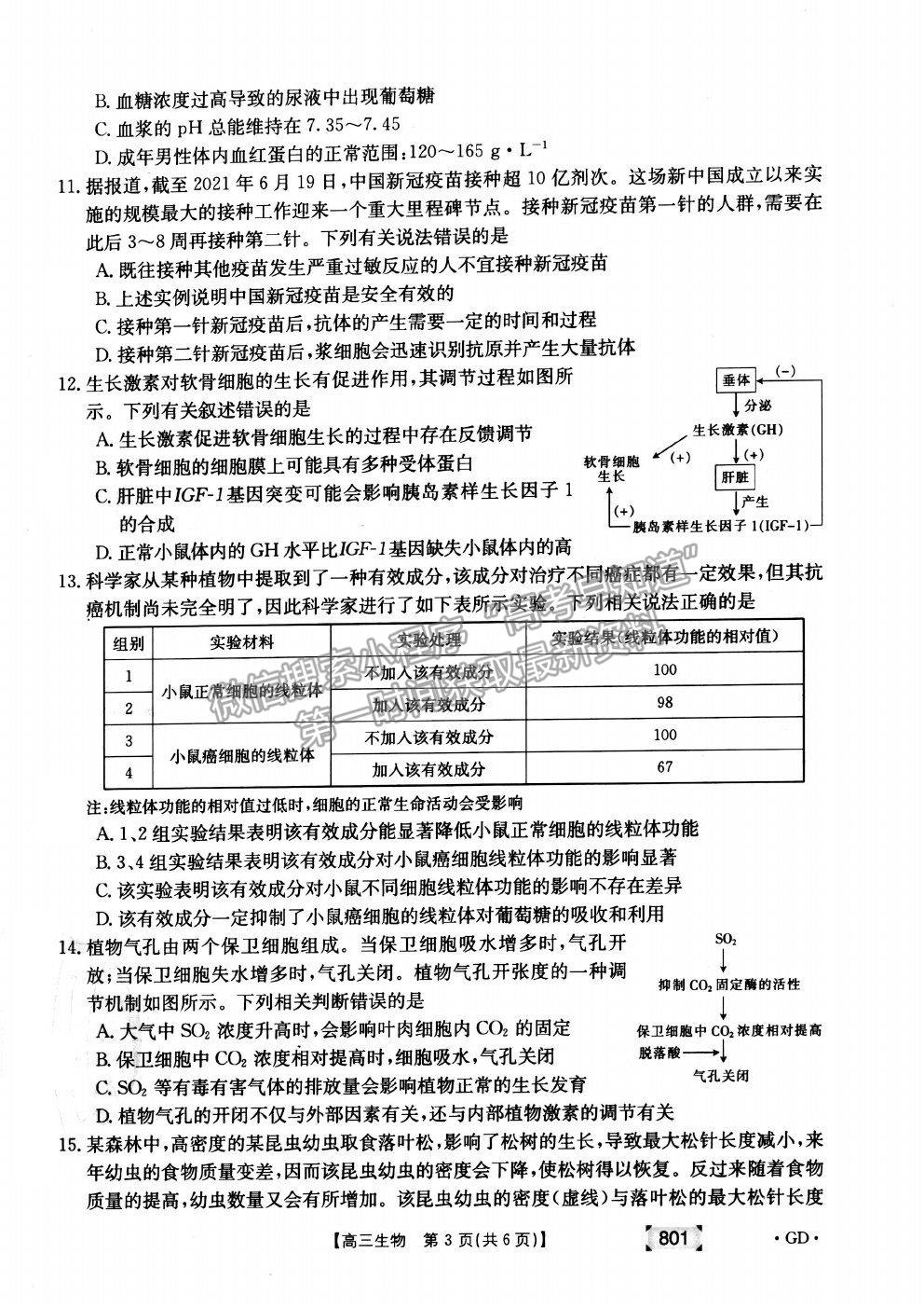 2022廣東省高三上學(xué)期8月第二次聯(lián)考生物試題及答案