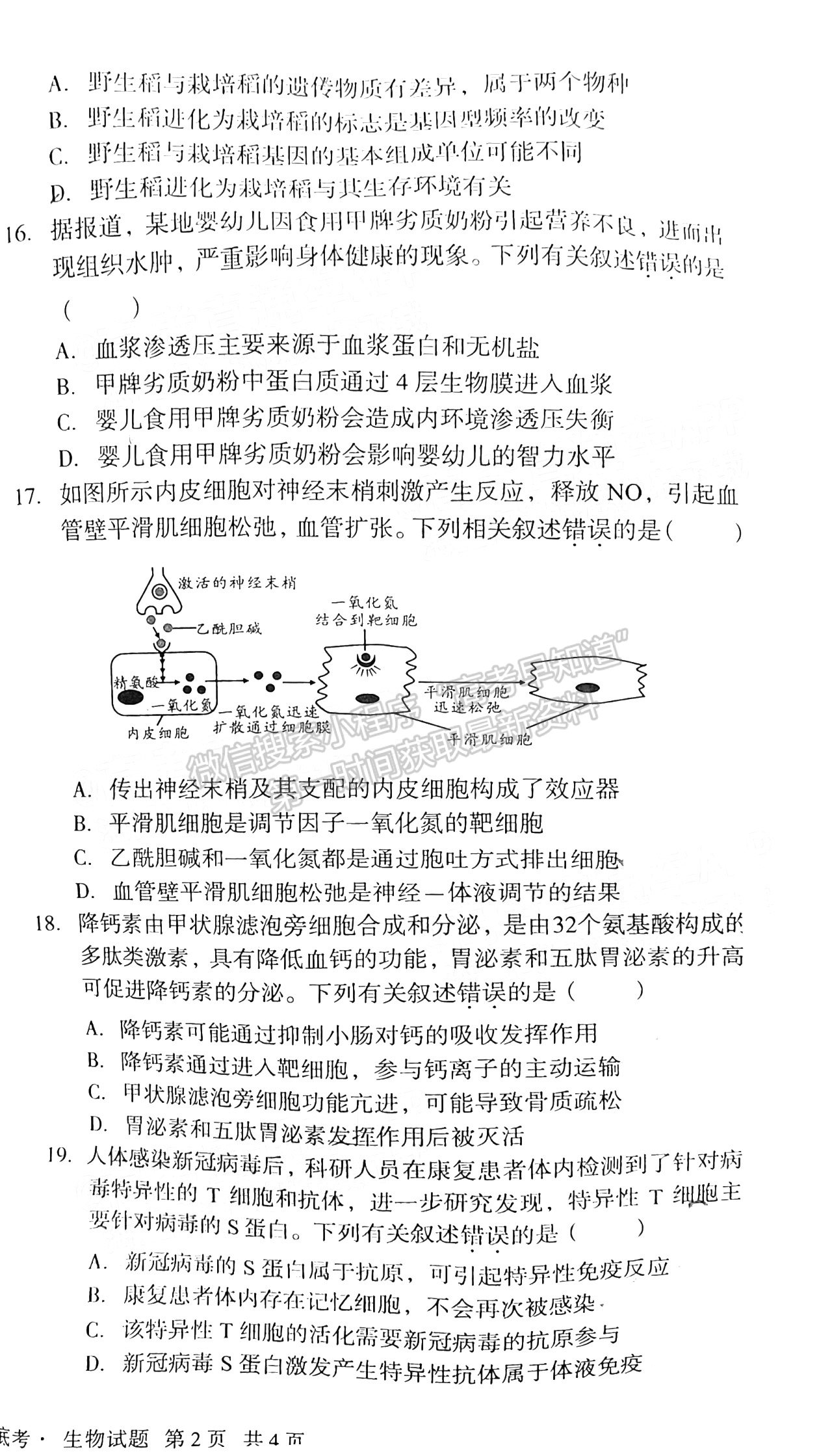 安徽A10聯(lián)盟2022屆高三摸底考生物試卷及答案