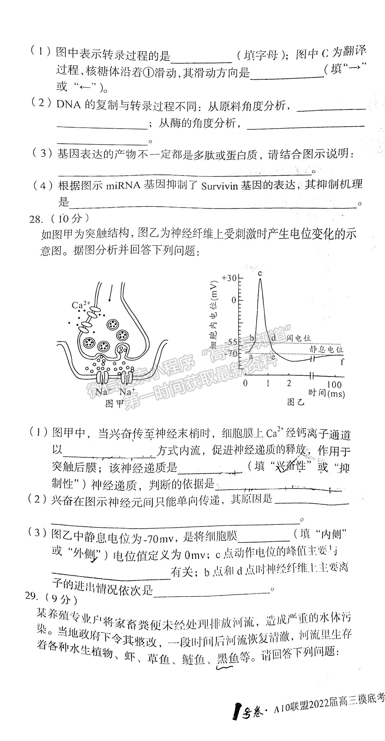 安徽A10聯(lián)盟2022屆高三摸底考生物試卷及答案