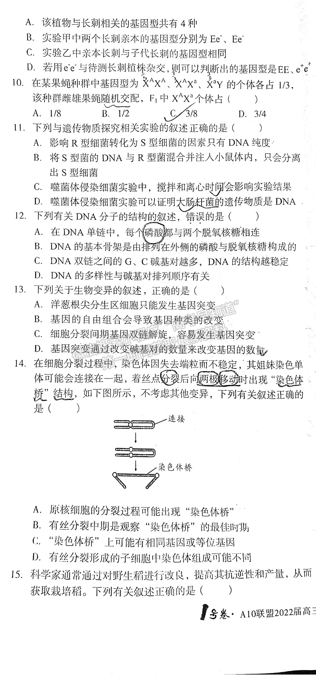 安徽A10聯(lián)盟2022屆高三摸底考生物試卷及答案