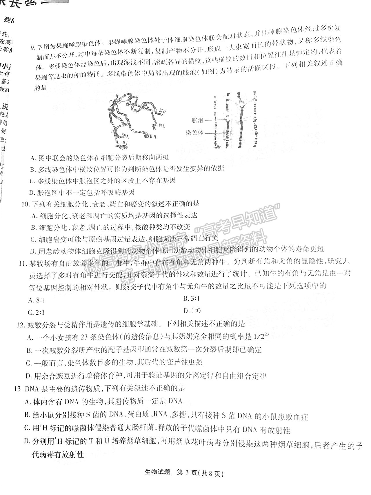 2022江淮十校第一次聯(lián)考生物試卷及答案