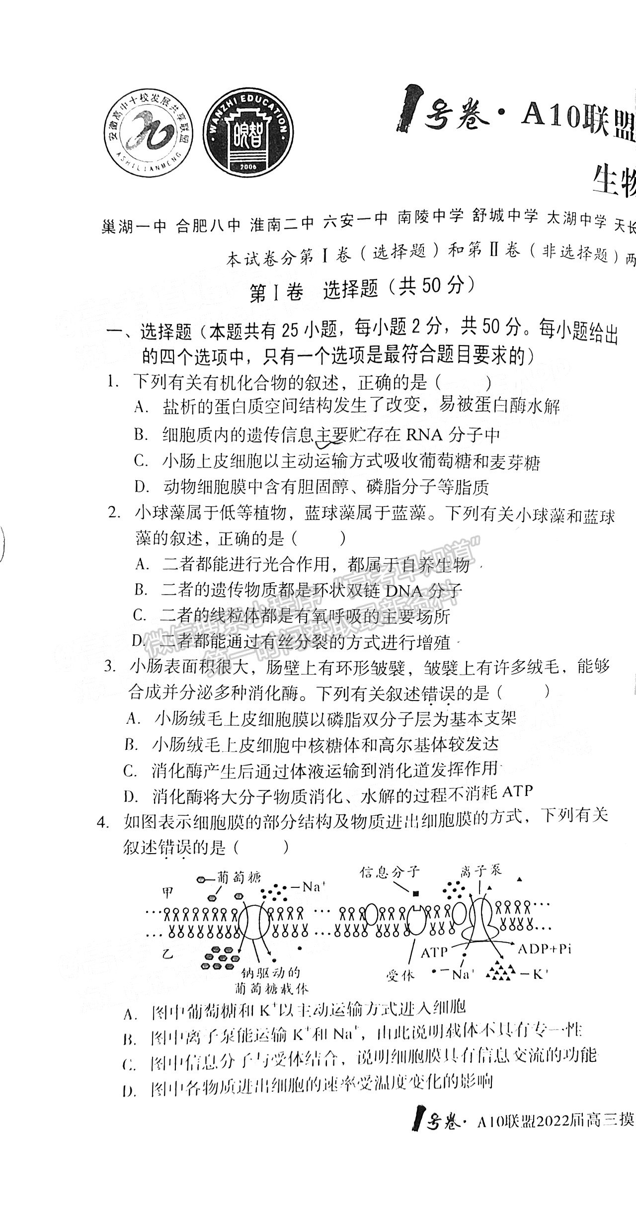 安徽A10聯(lián)盟2022屆高三摸底考生物試卷及答案