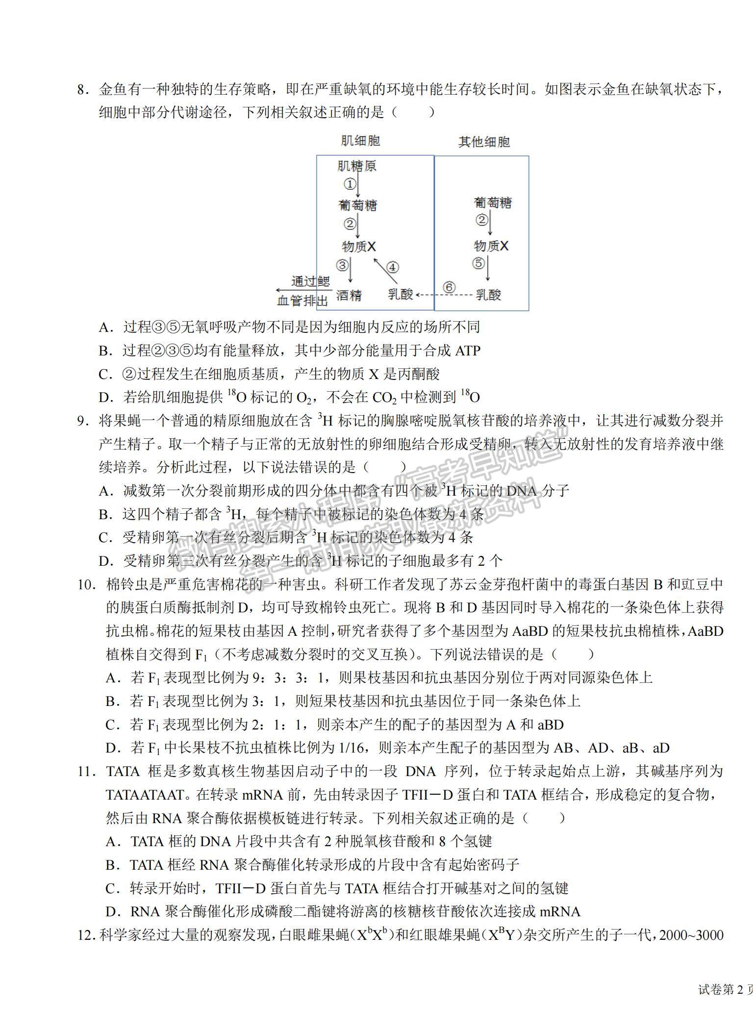 2021湖北省恩施高中、龍泉中學(xué)、宜昌一中高三下學(xué)期4月聯(lián)合考試生物試題及答案