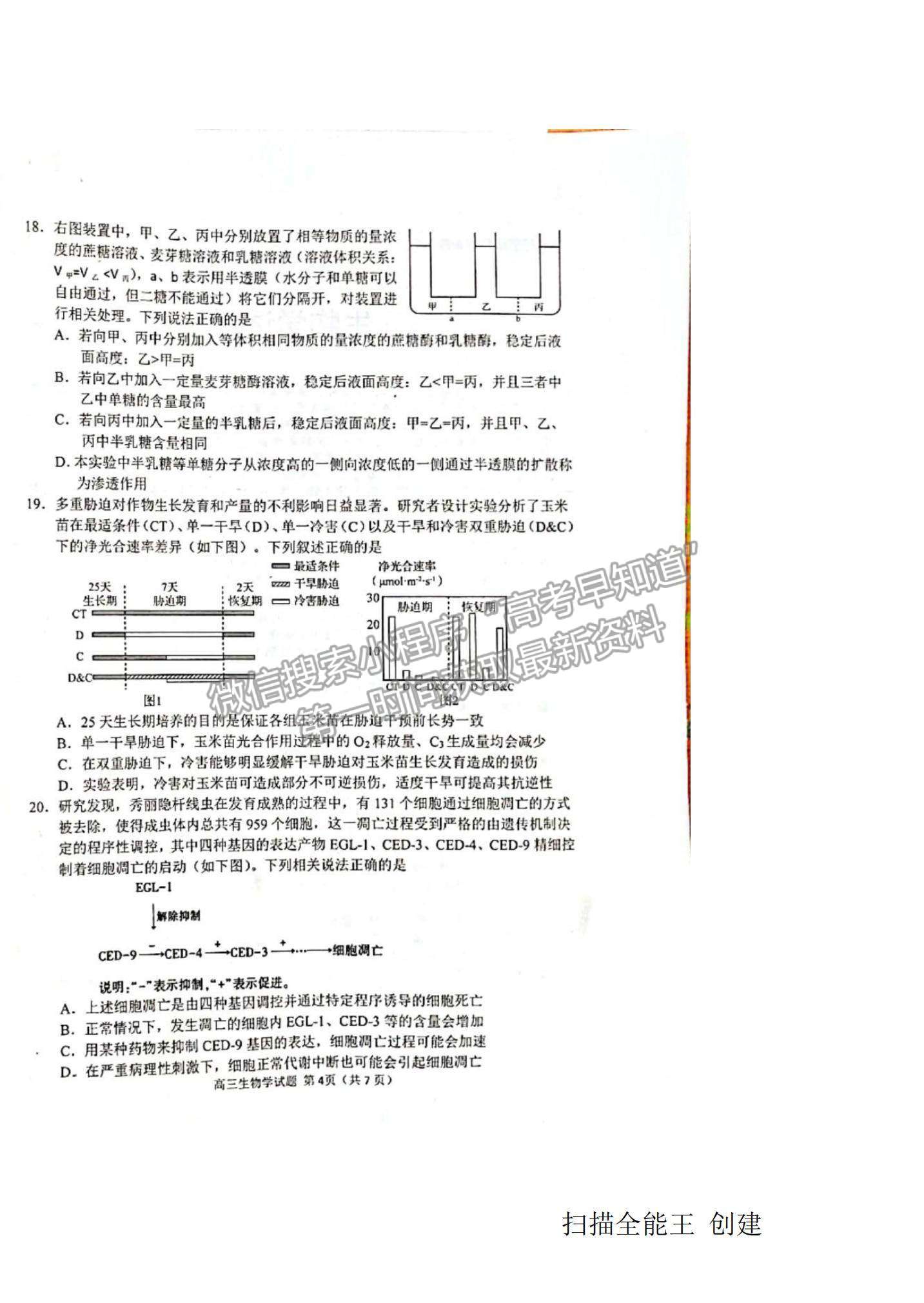 2022山東省日照市高三開(kāi)學(xué)校際聯(lián)合考試生物試題及答案