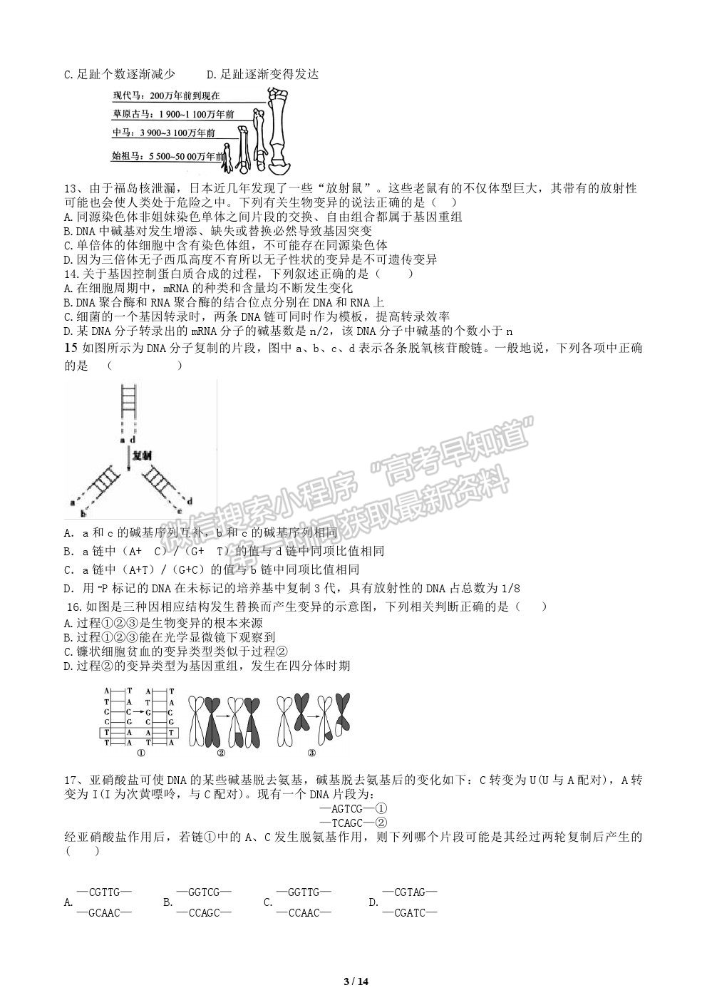 2022黑龍江省鶴崗一中高二上學(xué)期開(kāi)學(xué)考試生物試題及答案