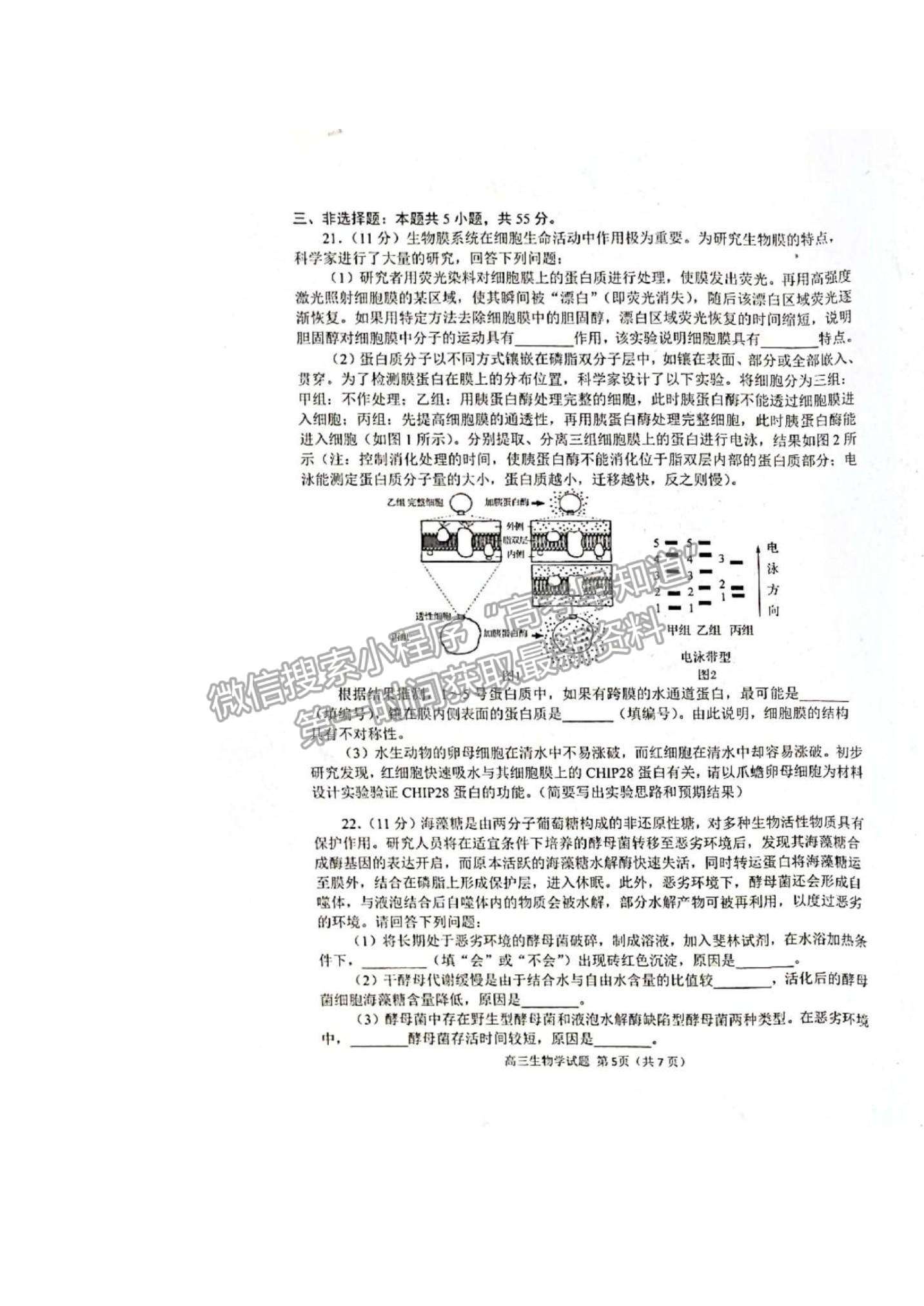 2022山東省日照市高三開(kāi)學(xué)校際聯(lián)合考試生物試題及答案