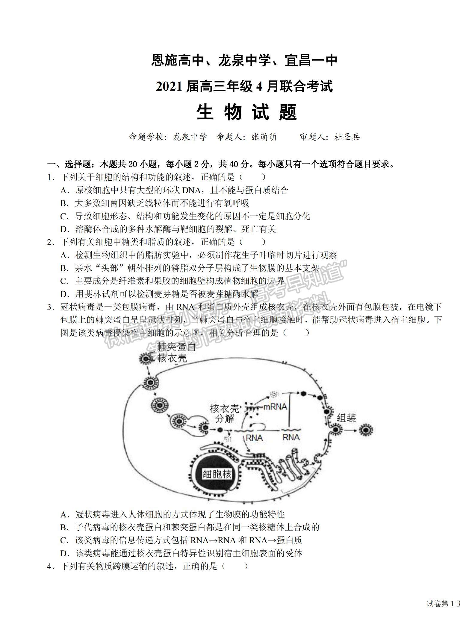 2021湖北省恩施高中、龍泉中學、宜昌一中高三下學期4月聯(lián)合考試生物試題及答案