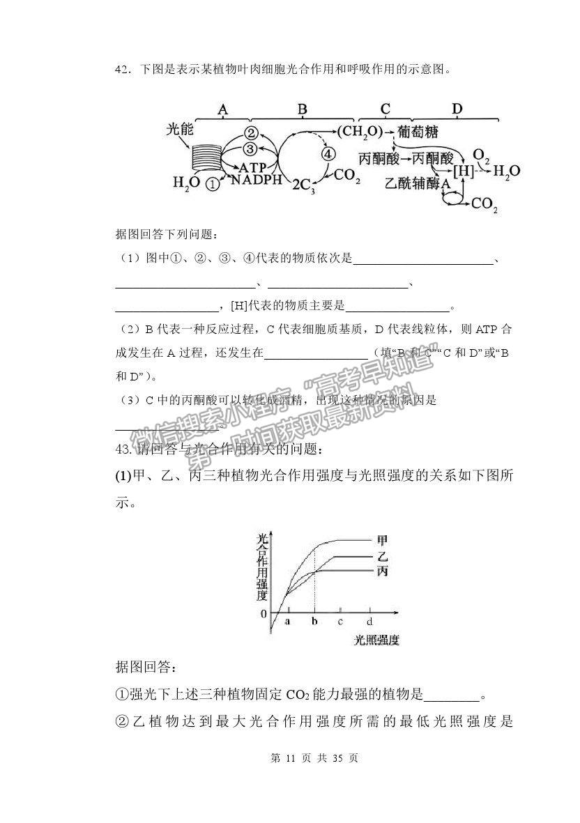 2022齊齊哈爾三立高級中學高三上學期開學考試生物試題及答案