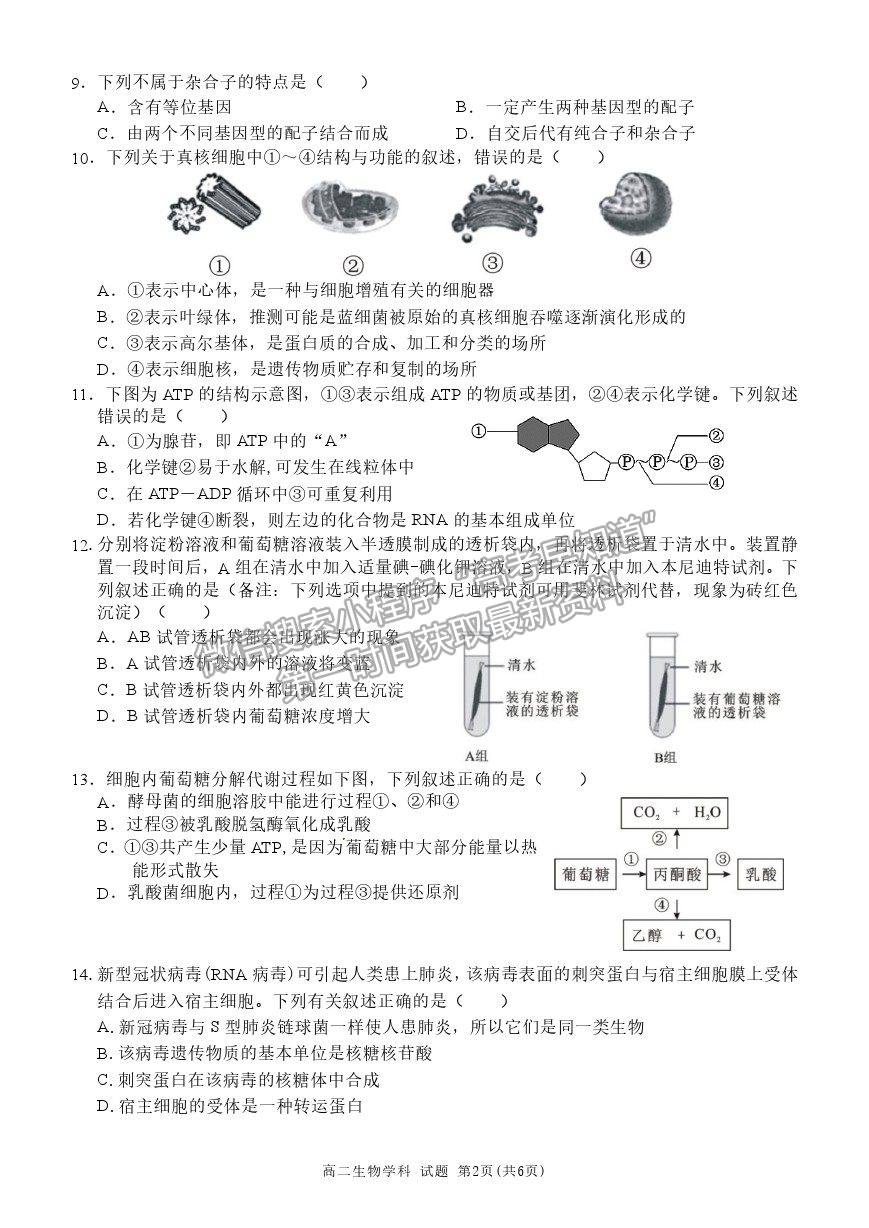 2022浙江省“精誠聯(lián)盟”高二上學期返校考試生物試題及答案