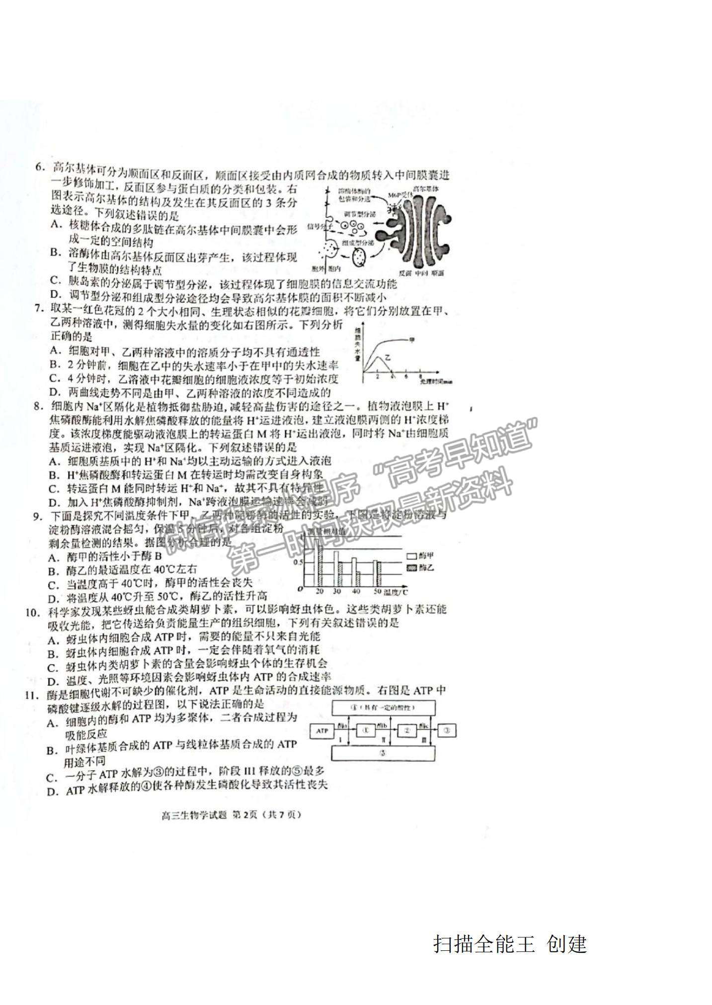 2022山東省日照市高三開學校際聯合考試生物試題及答案