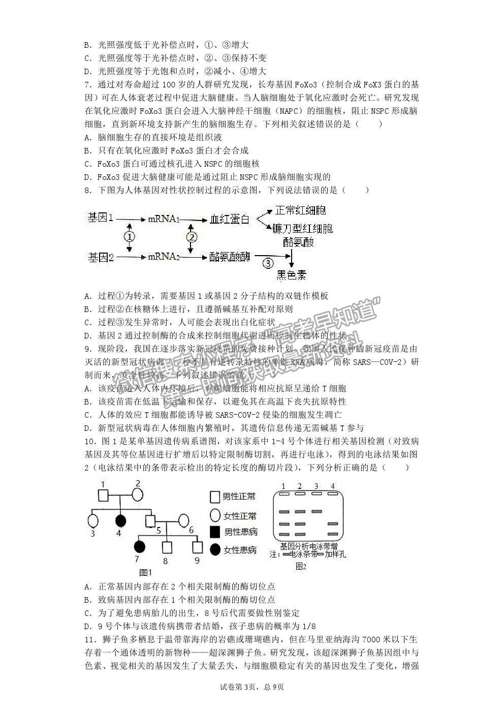 2021湖北省黃石市有色一中高三5月模擬考試生物試題及答案