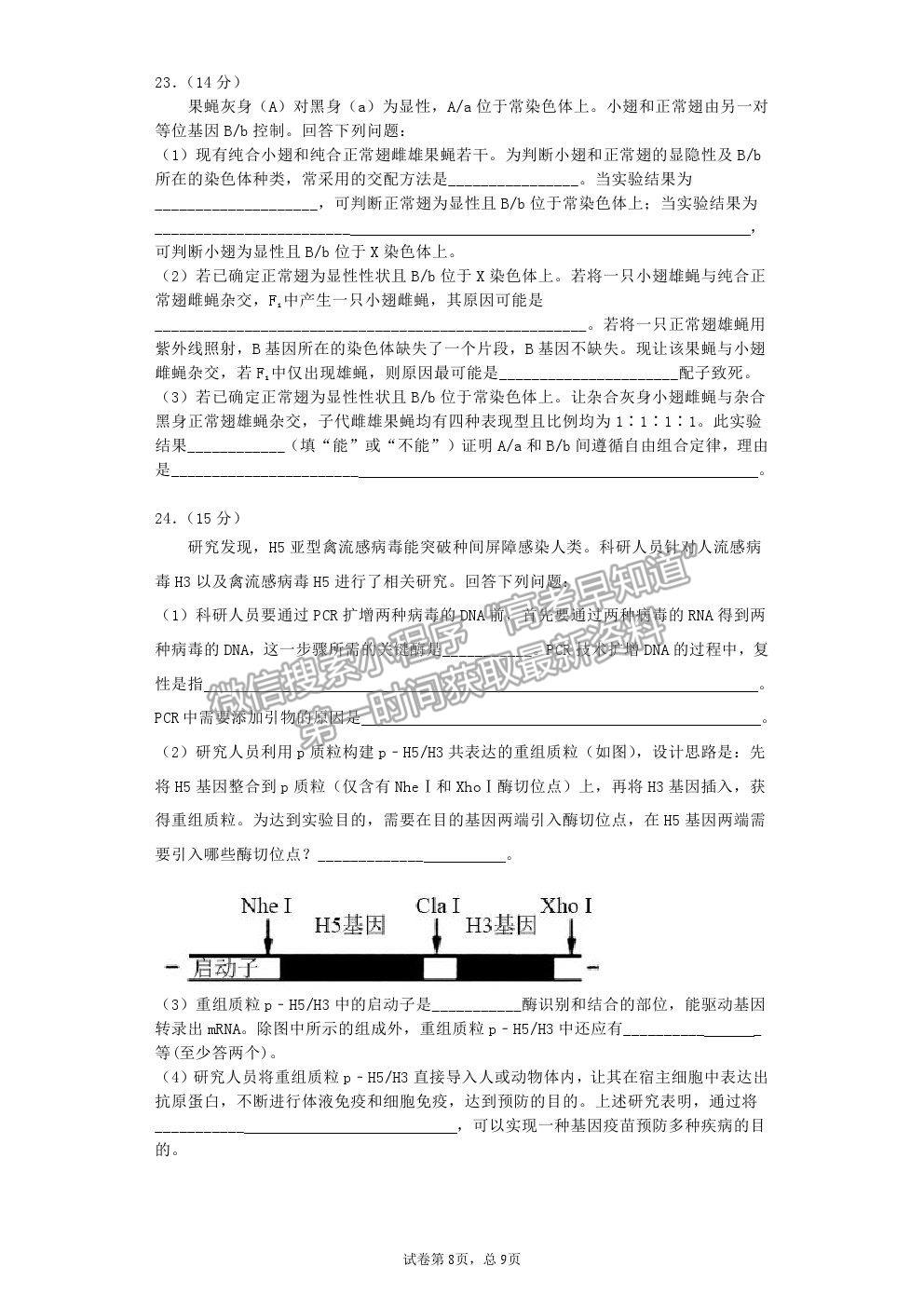 2021湖北省黃石市有色一中高三5月模擬考試生物試題及答案