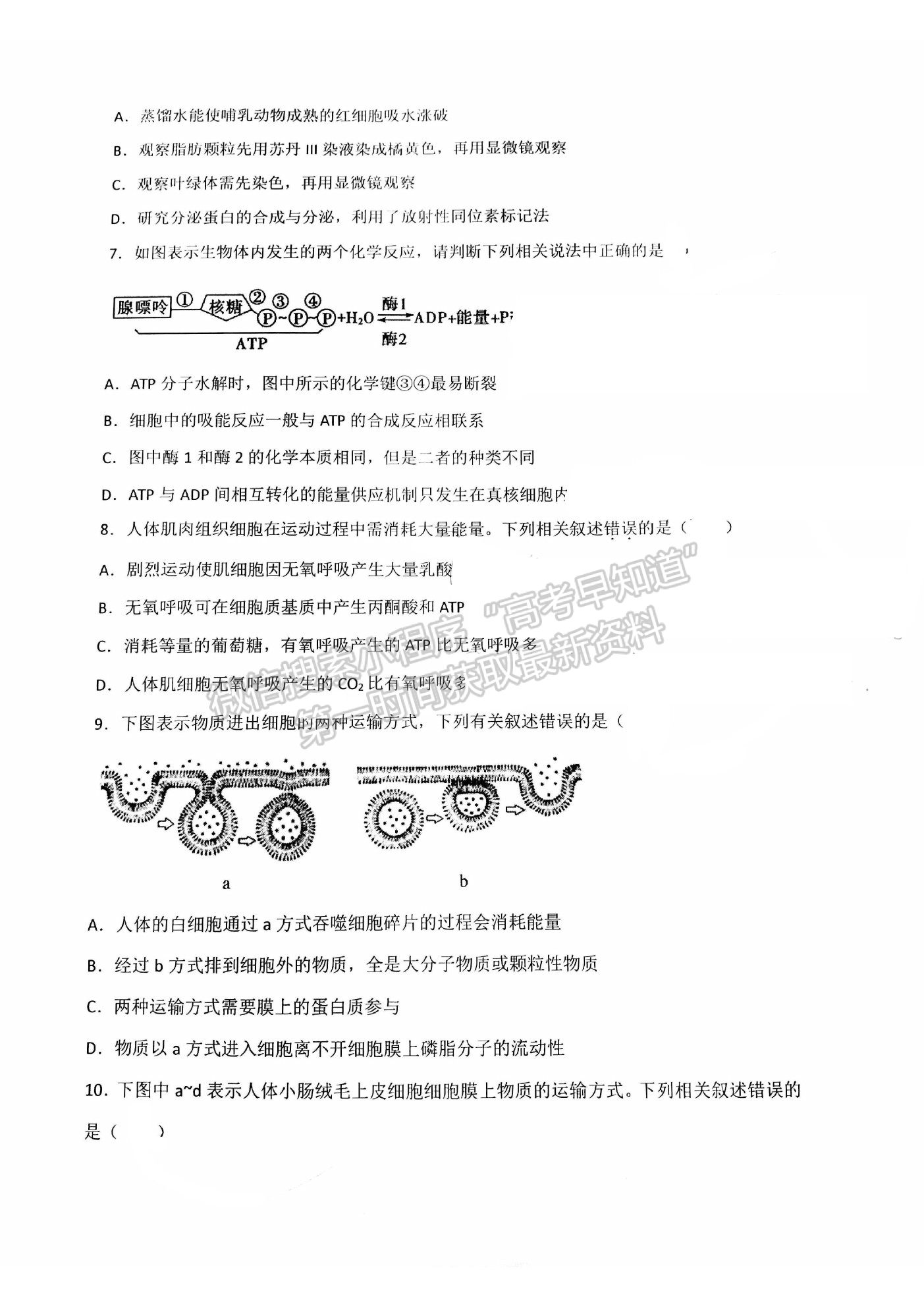 2022昆明市官渡區(qū)一中高二上學(xué)期開學(xué)考試生物試題及答案