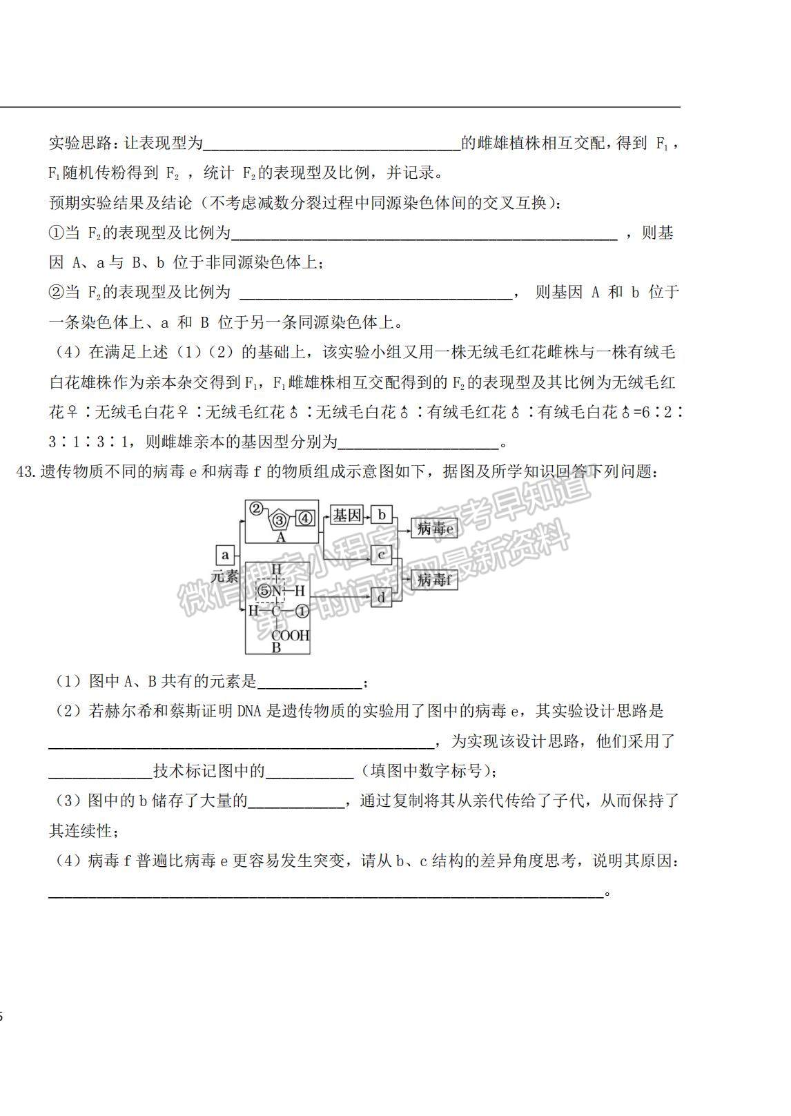 2022大慶實(shí)驗(yàn)中學(xué)高三上學(xué)期開學(xué)考試生物試題及答案