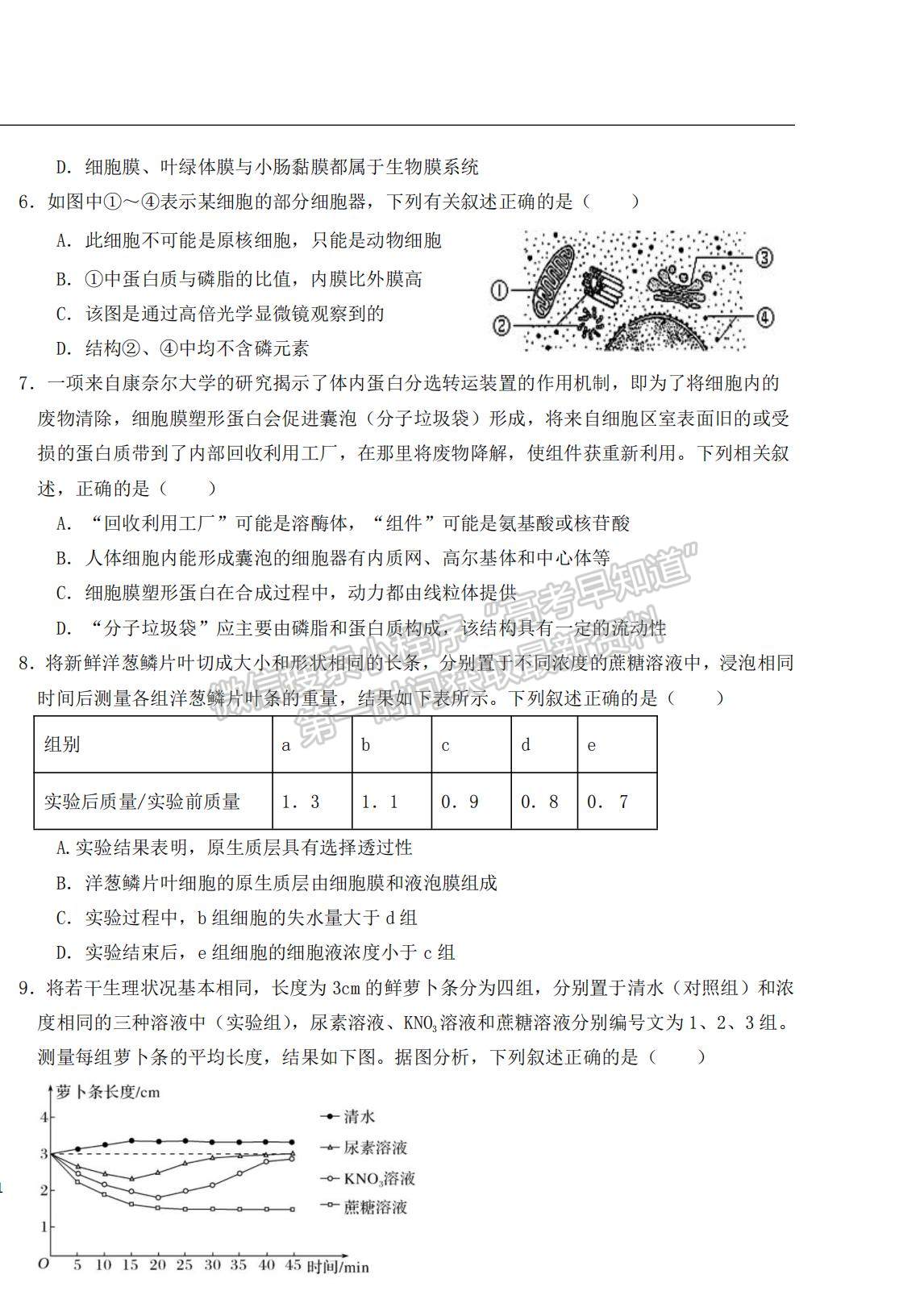 2022大慶實驗中學高三上學期開學考試生物試題及答案