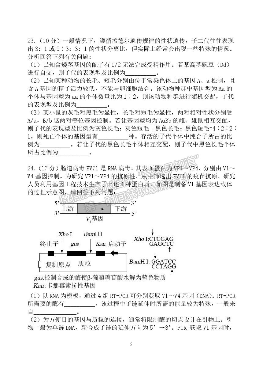 2022武漢二中高三上學(xué)期暑期模擬生物試題及答案