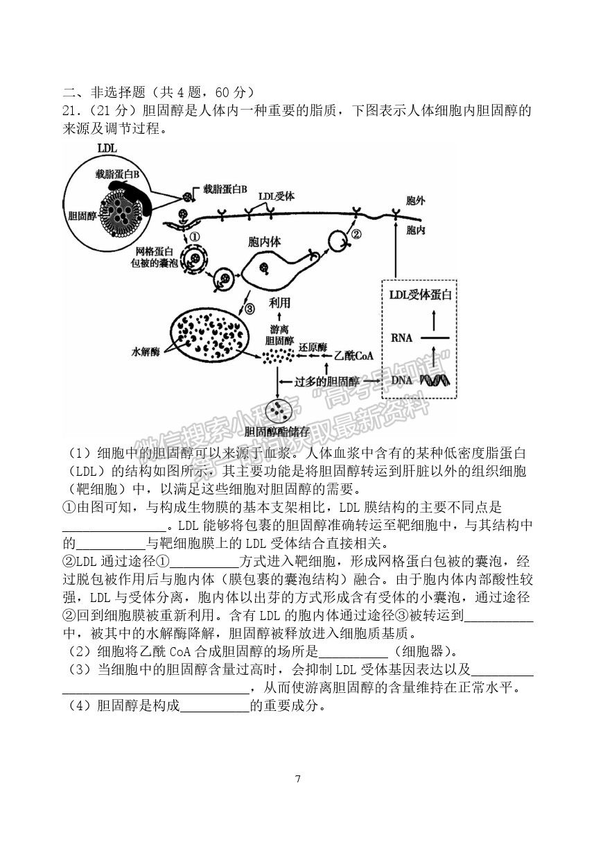 2022武漢二中高三上學(xué)期暑期模擬生物試題及答案