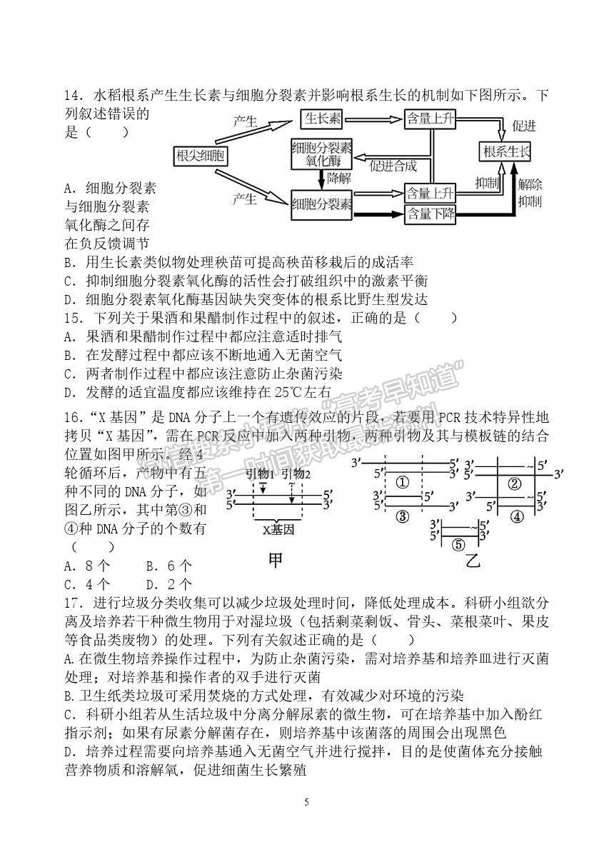 2022武漢二中高三上學(xué)期暑期模擬生物試題及答案