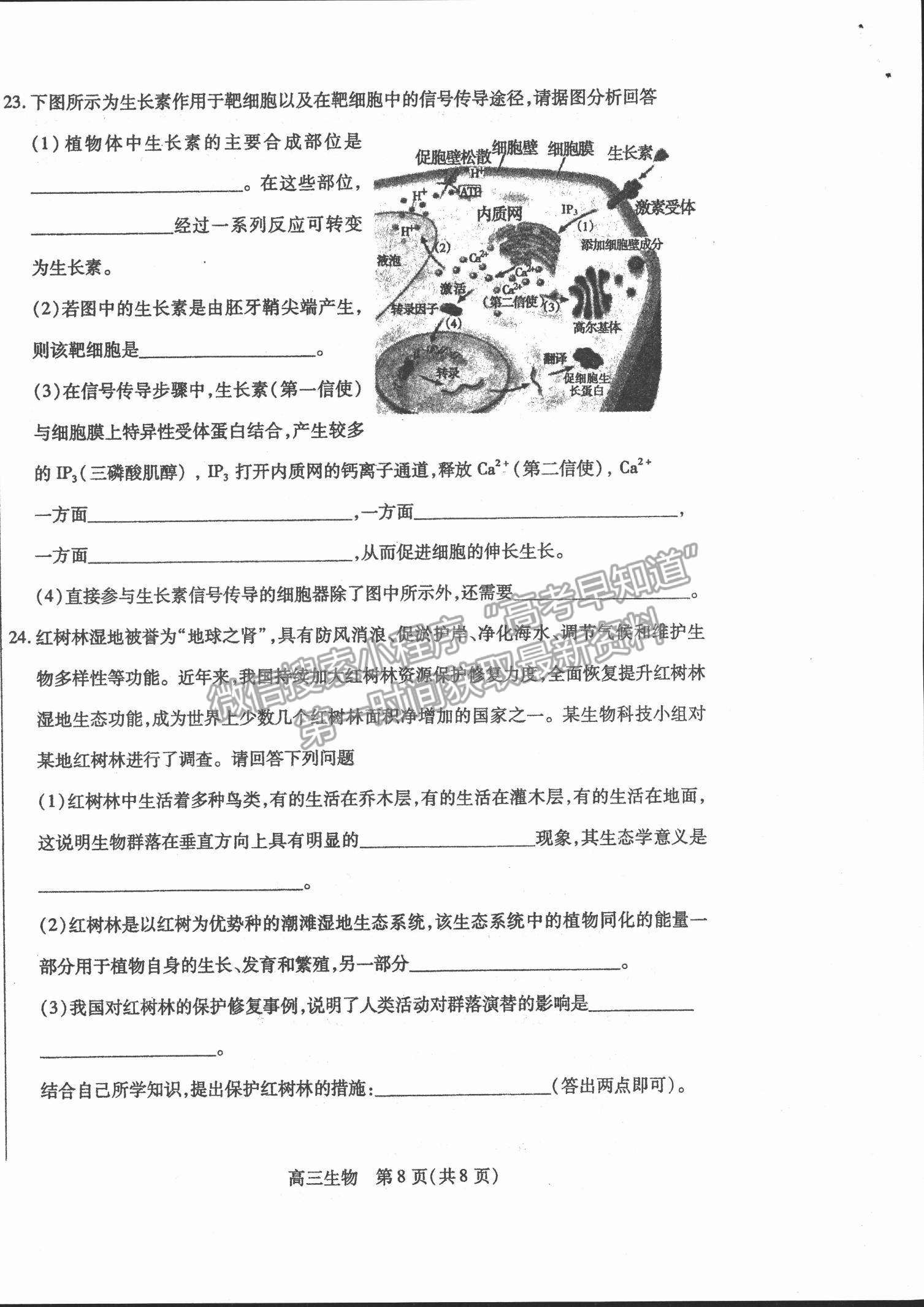 2022內(nèi)蒙古包頭市高三上學(xué)期起點(diǎn)調(diào)研考試生物試題及參考答案