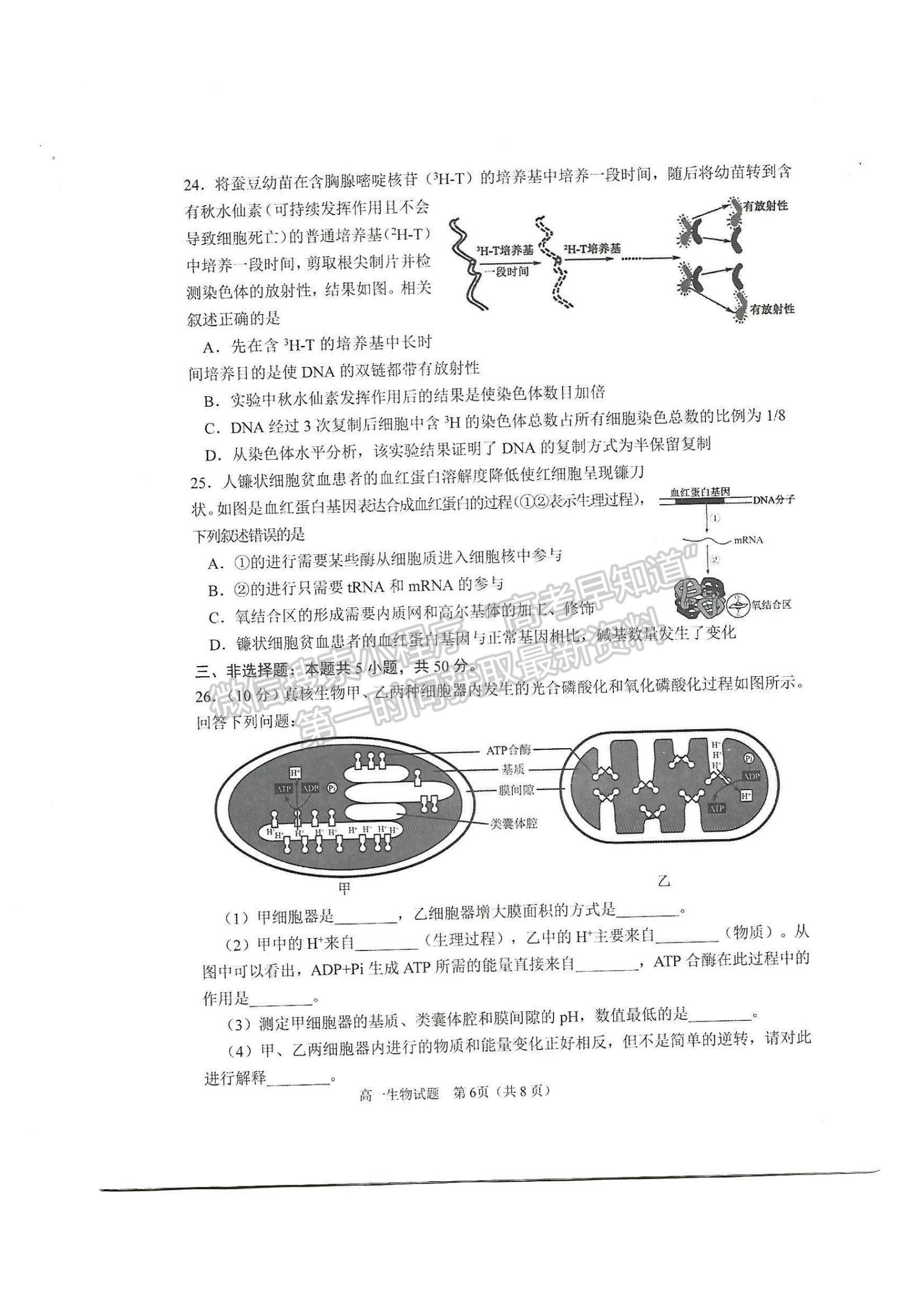 2021山東省淄博市部分學校高一下學期期末考試生物試題及參考答案