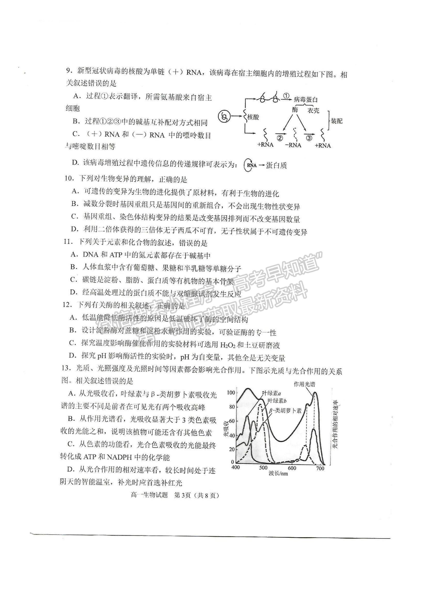 2021山東省淄博市部分學(xué)校高一下學(xué)期期末考試生物試題及參考答案