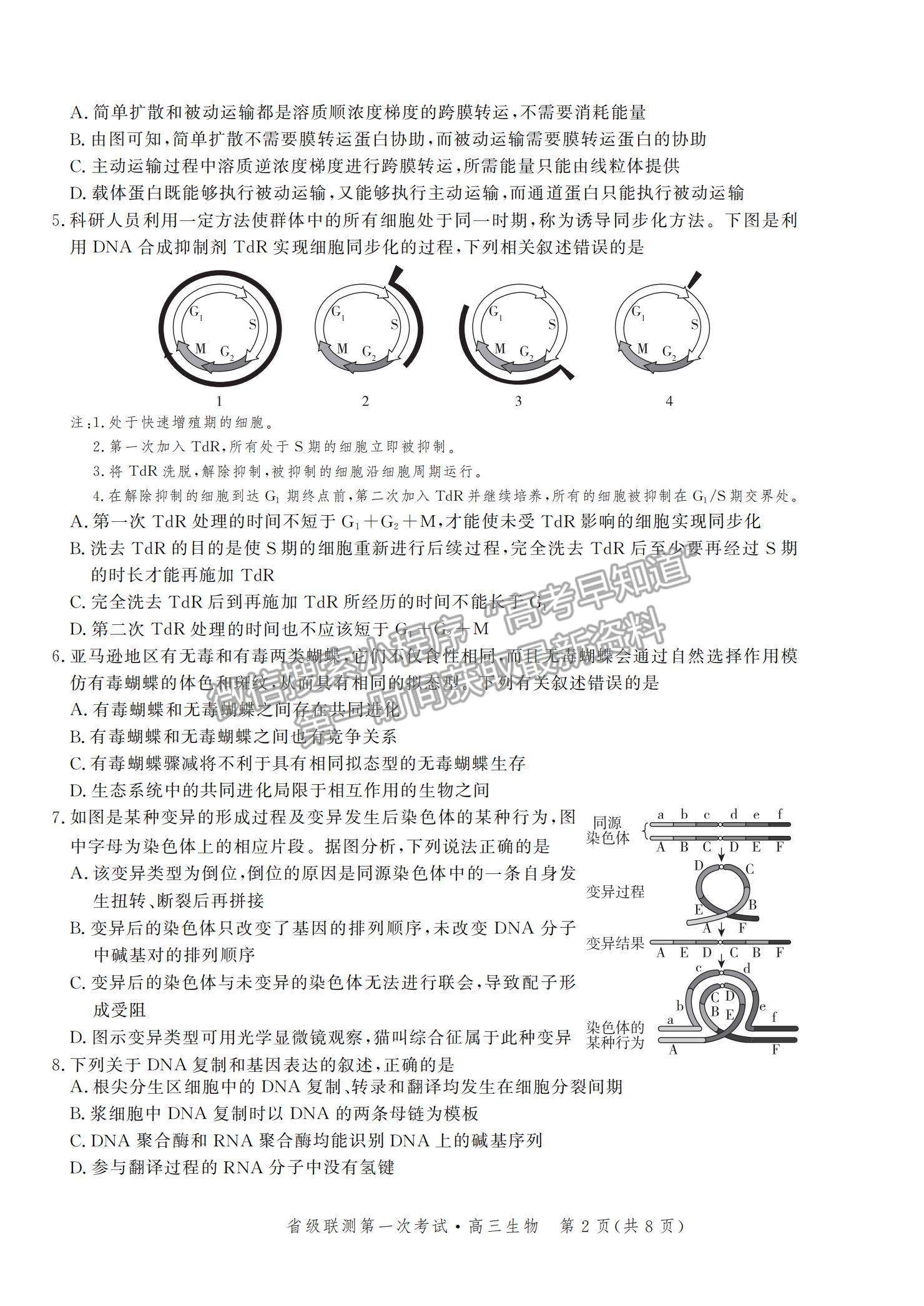 2022河北省省級聯(lián)測高三上學(xué)期第一次聯(lián)考生物試題及參考答案