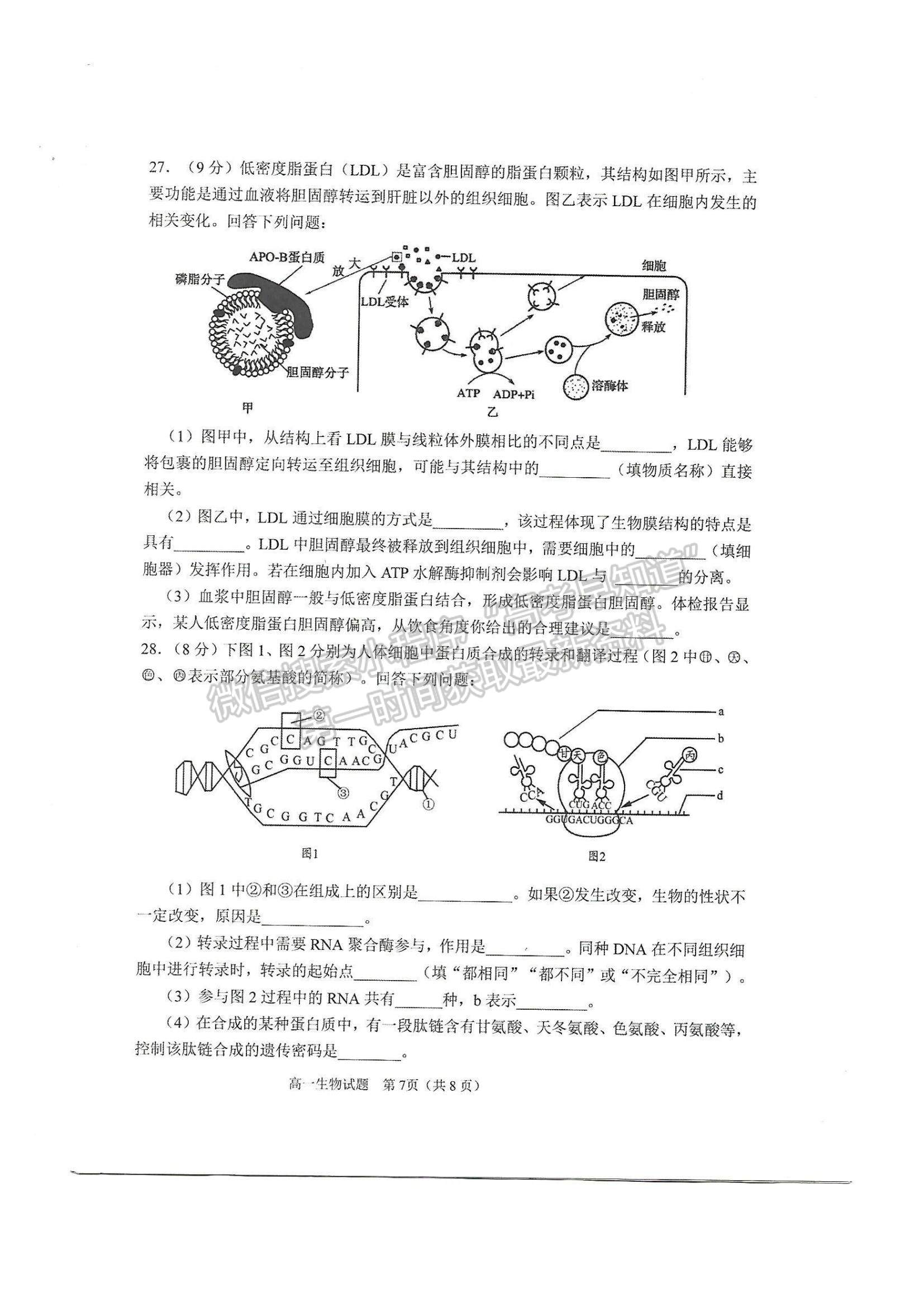 2021山東省淄博市部分學校高一下學期期末考試生物試題及參考答案