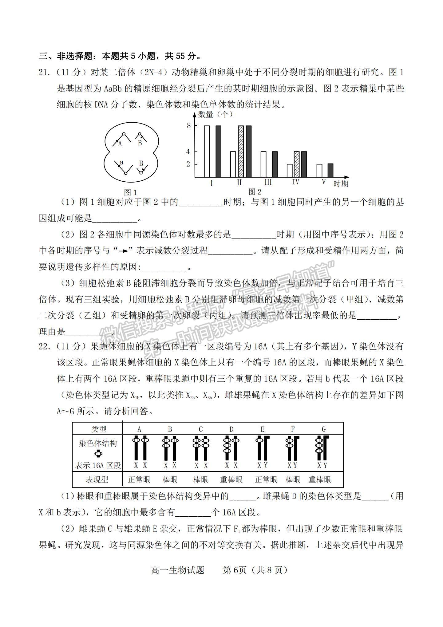 2021山東省煙臺市高一下學期期末考試生物試題及參考答案