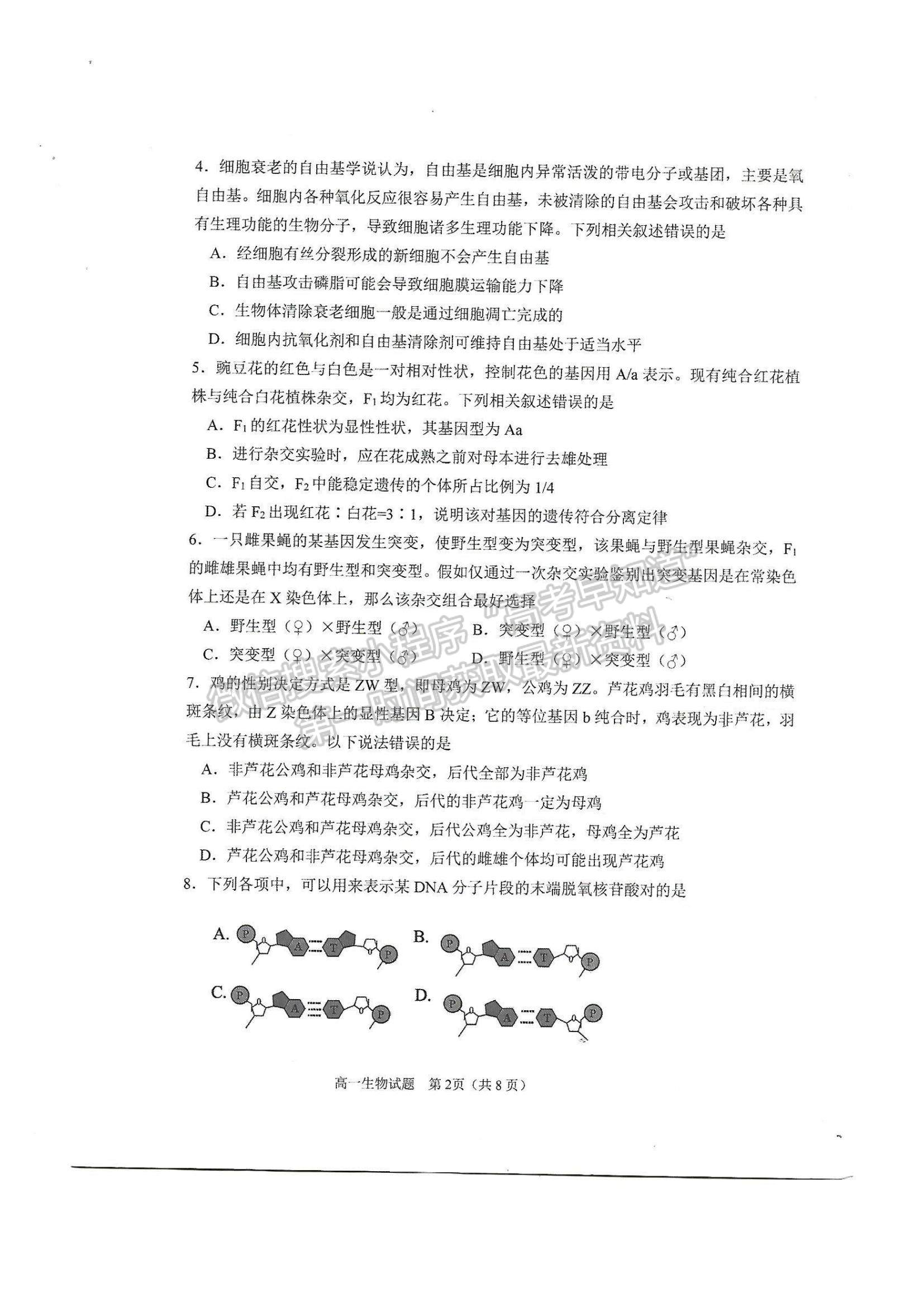 2021山東省淄博市部分學(xué)校高一下學(xué)期期末考試生物試題及參考答案