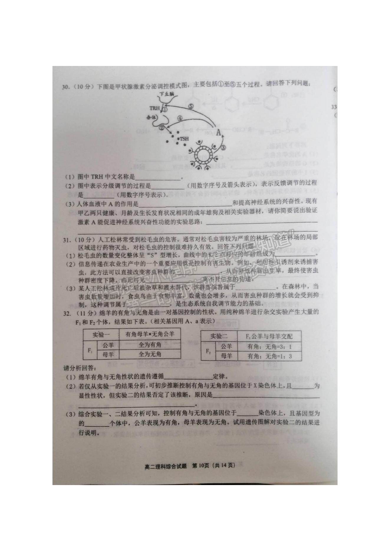 2021廣安零診理綜試題及參考答案